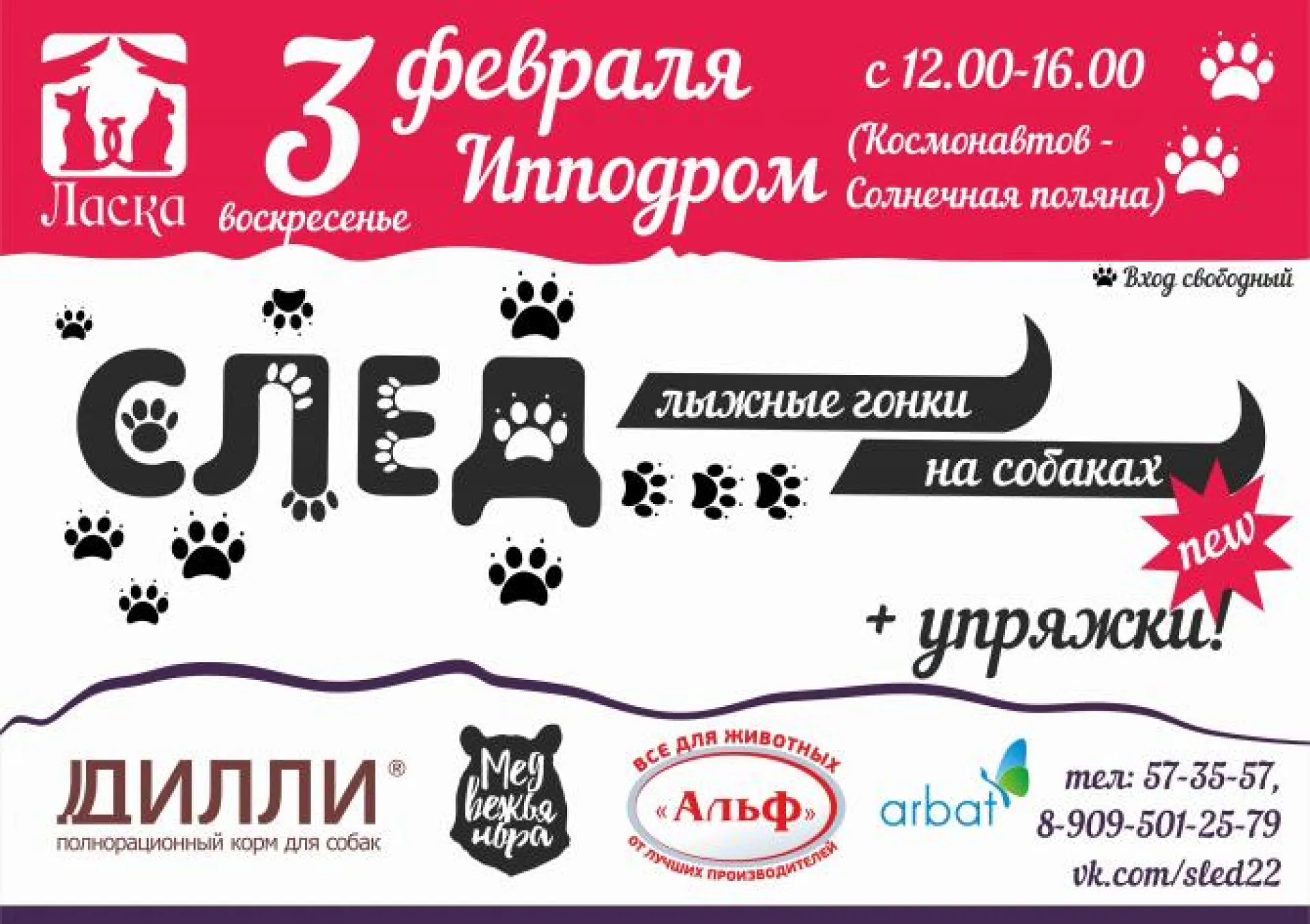 Гонки лыжников на собаках «След-2019» пройдут на Барнаульском ипподроме