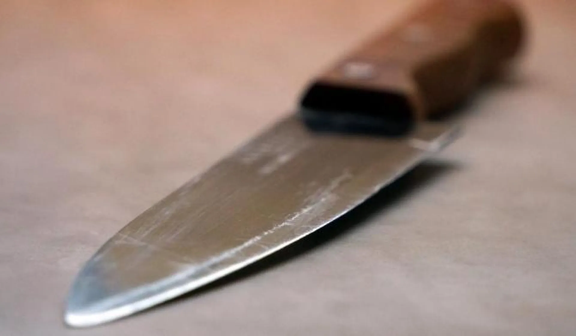 Жительница Алтайского края пыталась убить сожителя за оскорбления 