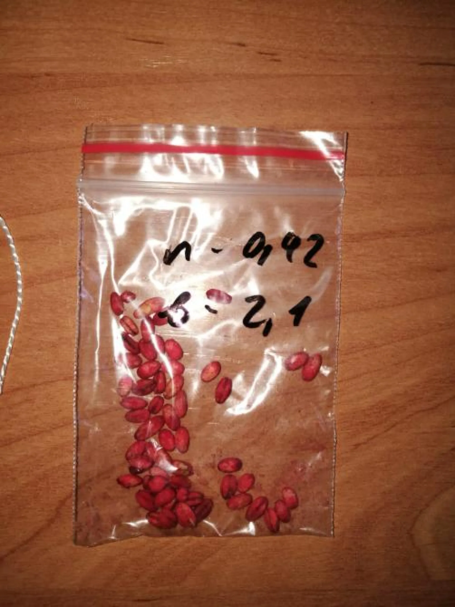 Воспитанники барнаульского детсада отравились ядом: подробности Воспитанники барнаульского детсада отравились ядом: подробности