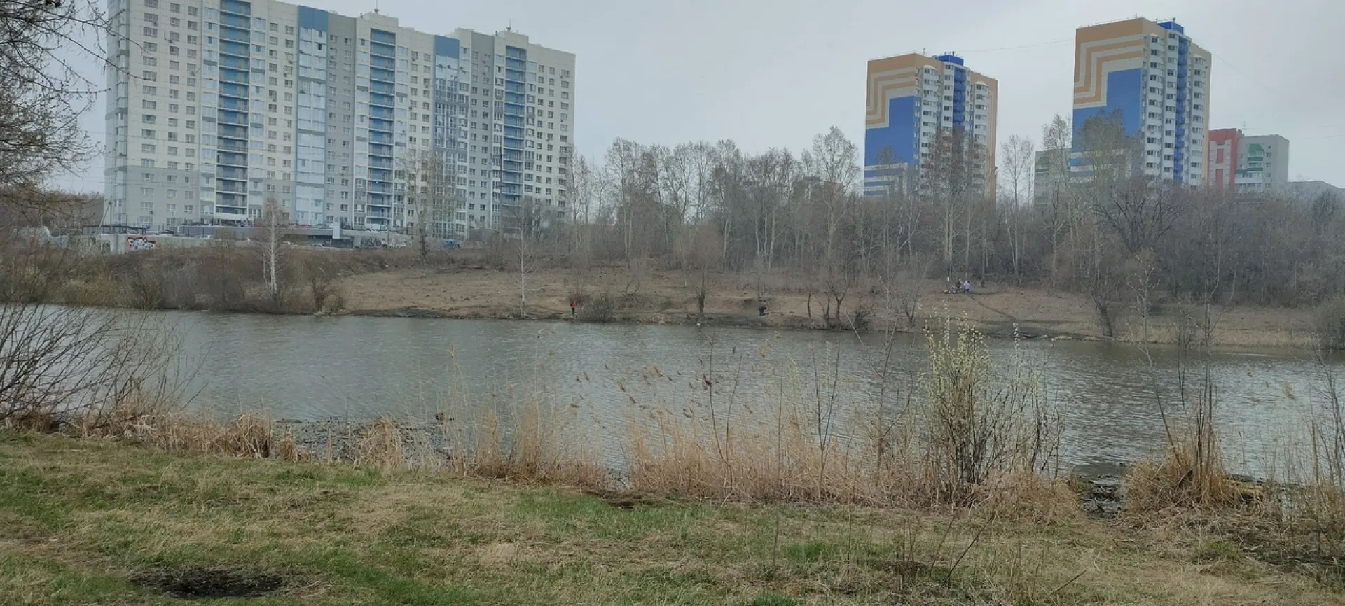 Неизвестные поедают уток на озере в Барнауле