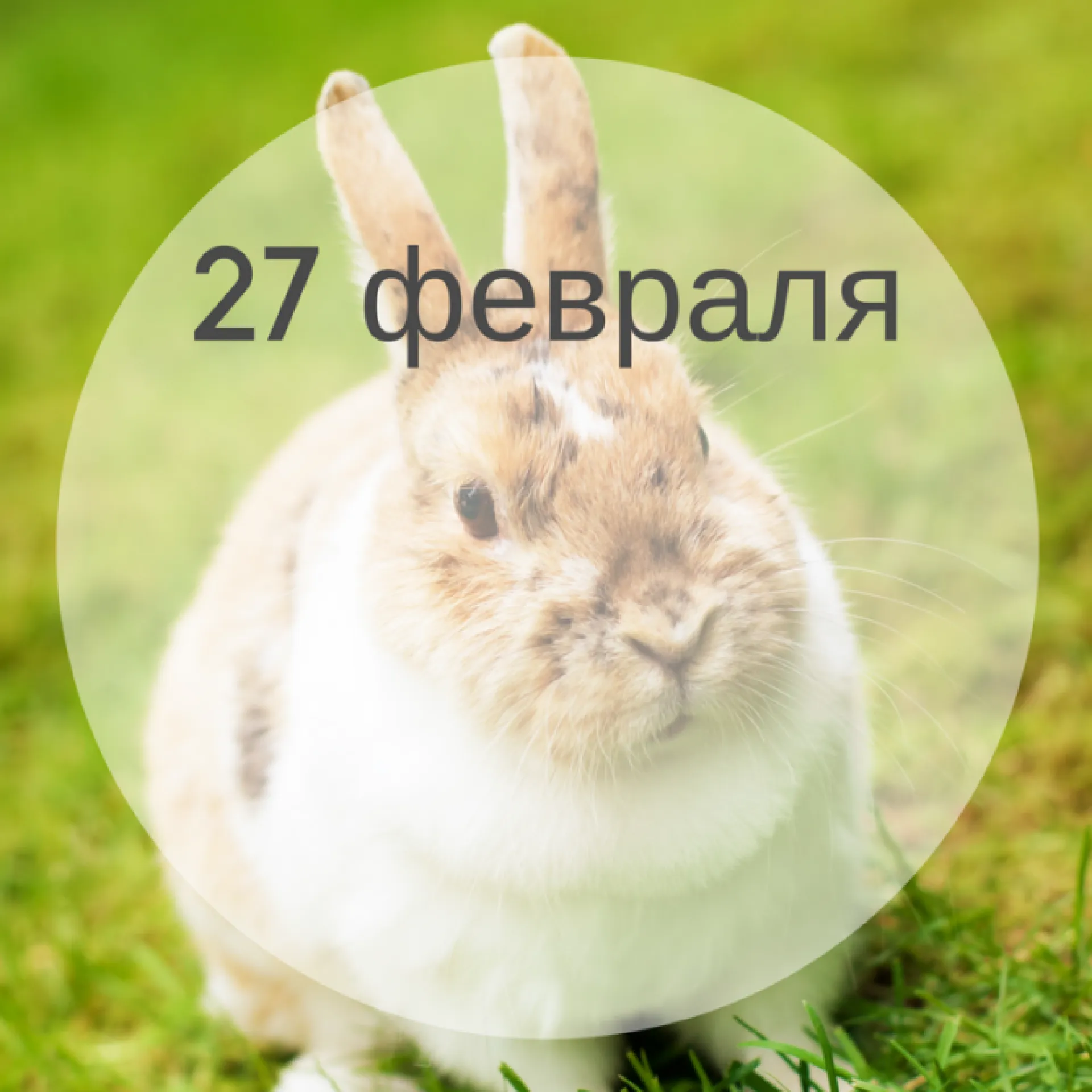 Планы на день: 27 февраля – что интересного будет сегодня? Планы на день: 27 февраля – что интересного будет сегодня?
