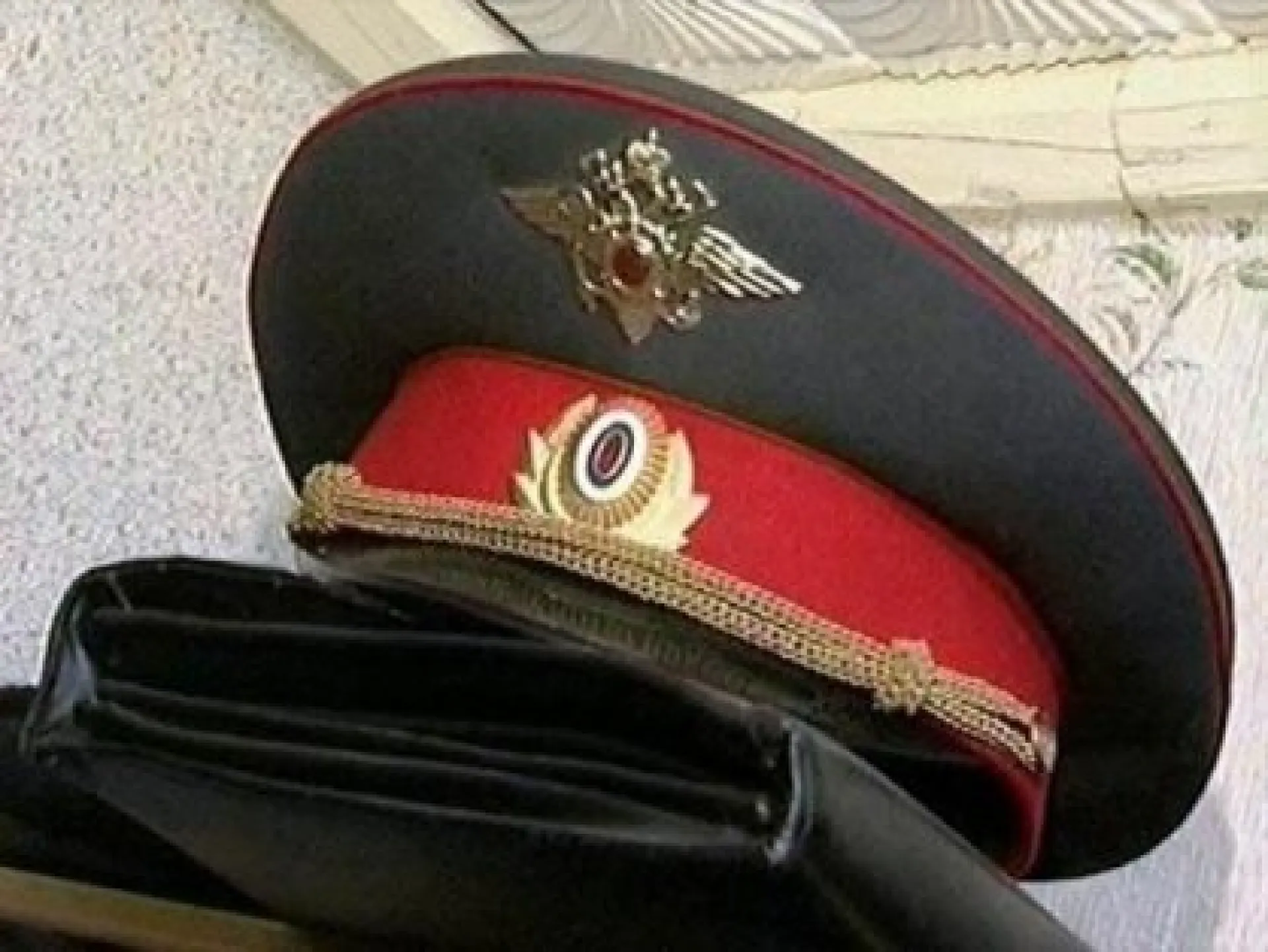 Жительницу Барнаула осудят за оскорбление полицейского в соцсети