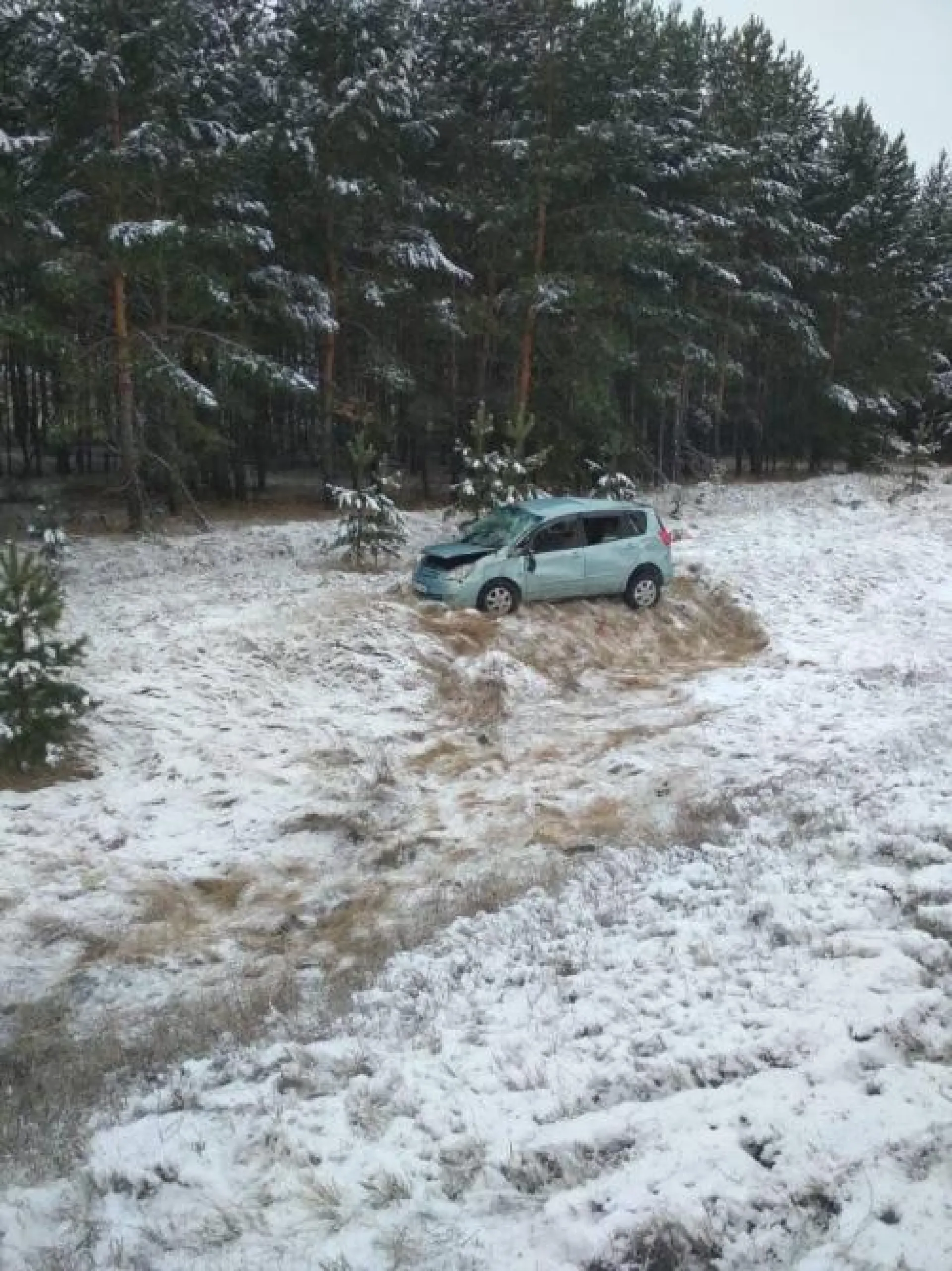 Автомобиль опрокинулся в кювет на трассе в Алтайском крае