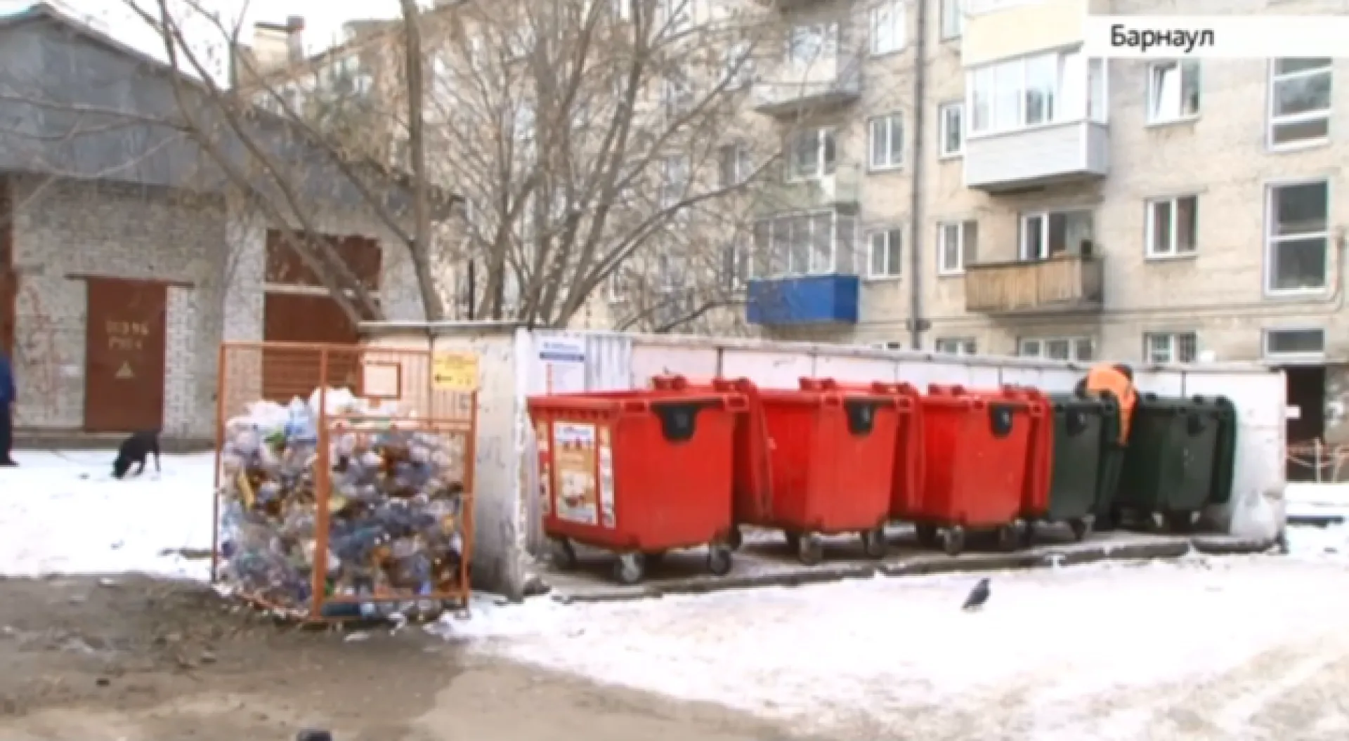 Акцию по раздельному сбору мусора проводят в Барнауле
