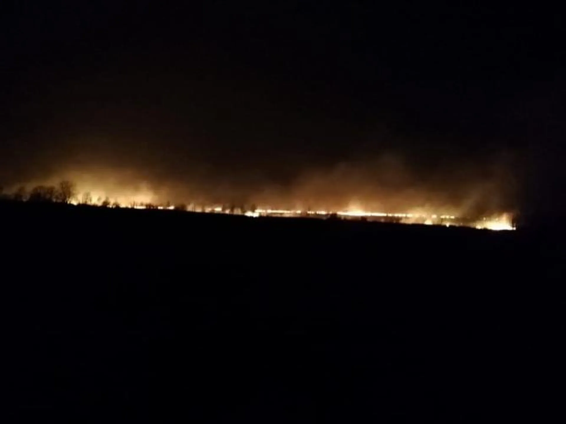 Стена огня движется в сторону Заринска