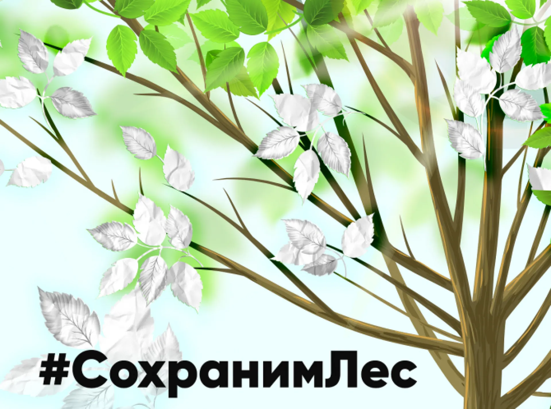 Всероссийская акция по сбору макулатуры #СохранимЛес пройдет в Барнауле