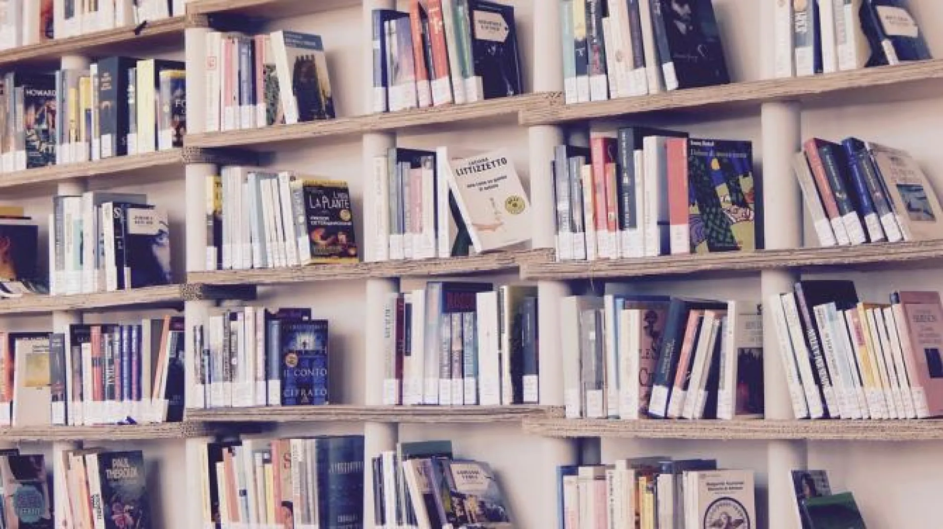 Сельская библиотека платно выдавала книги в Алтайском крае