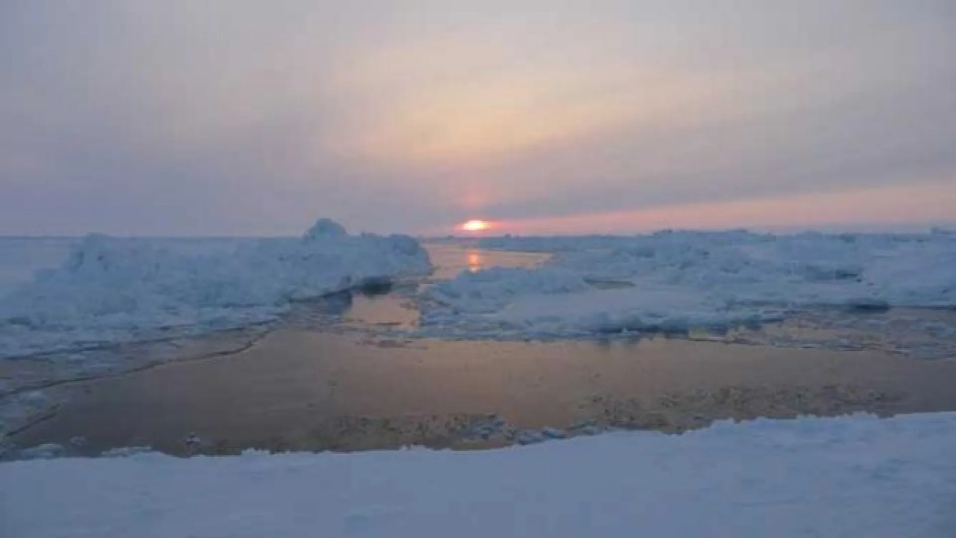 Девочка утонула в Алтайском крае 