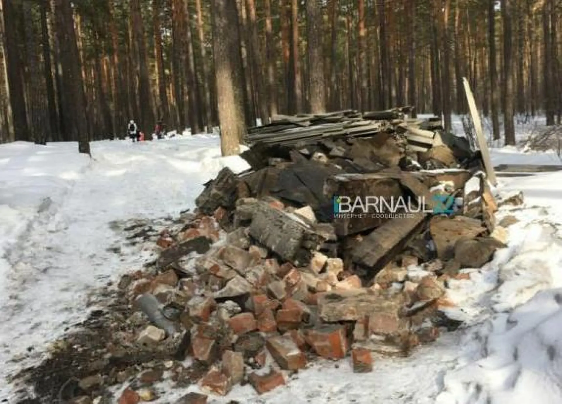 Свалку в ленточном бору ликвидировали в Барнауле