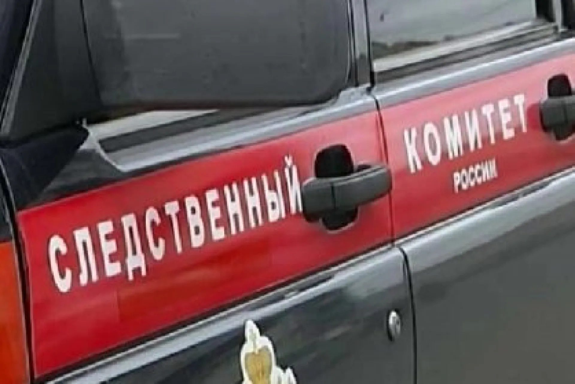 Подростки избили девочку в Алтайском крае 
