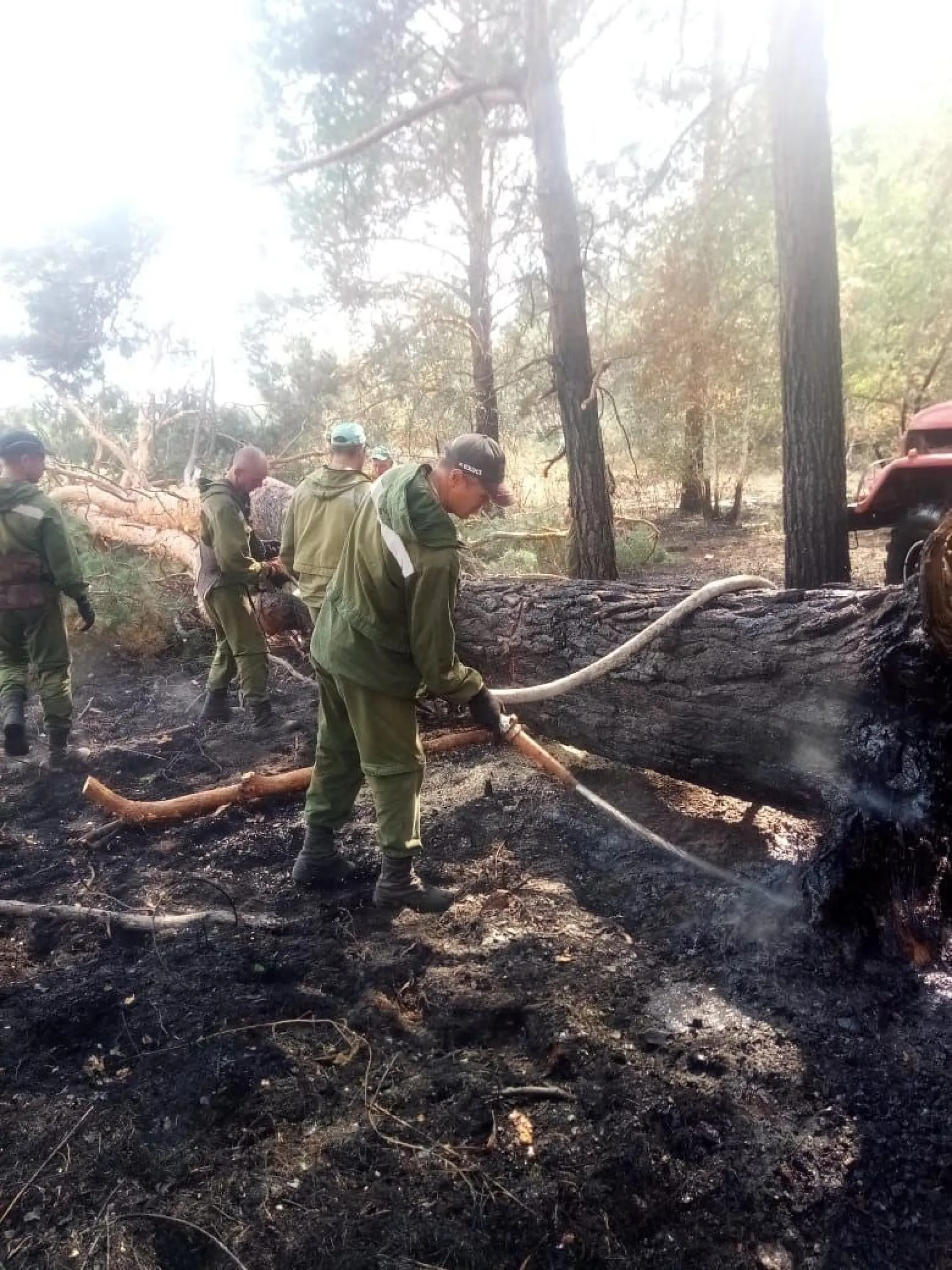 В Минприроды рассказали, как проходит тушение пожаров в Угловском районе