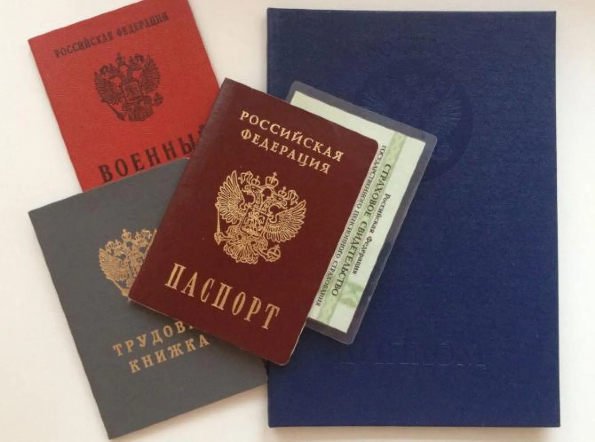 Партию поддельных документов изъяли у жителей Бийска