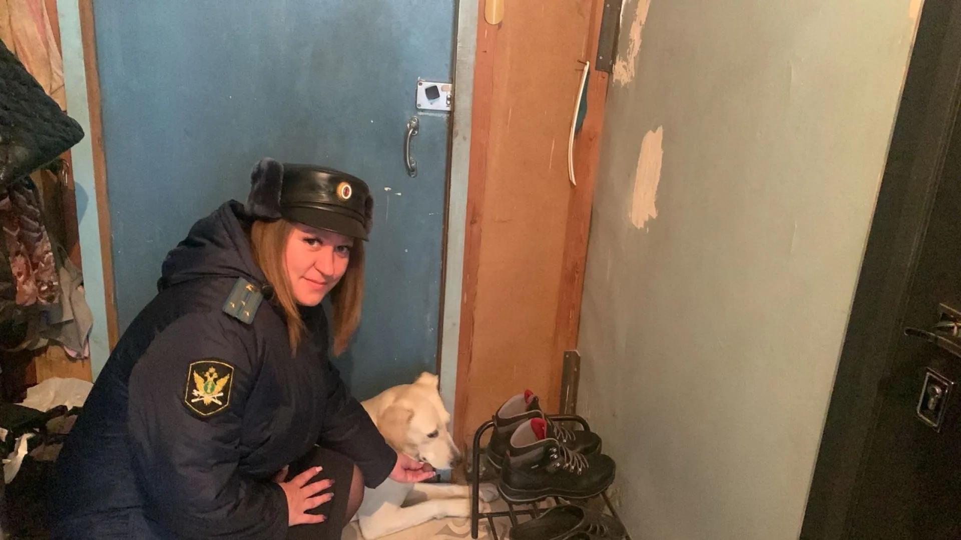 Потерявшаяся собака пришла к отделению судебных приставов в Заринске Потерявшаяся собака пришла к отделению судебных приставов в Заринске