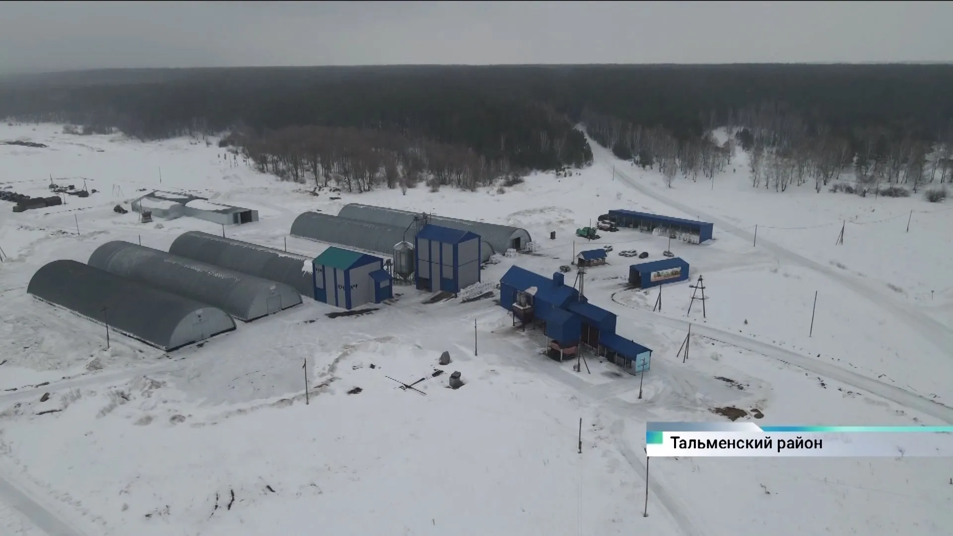 Семеноводческое предприятие в Тальменском районе снабжает семенами аграриев по всей России
