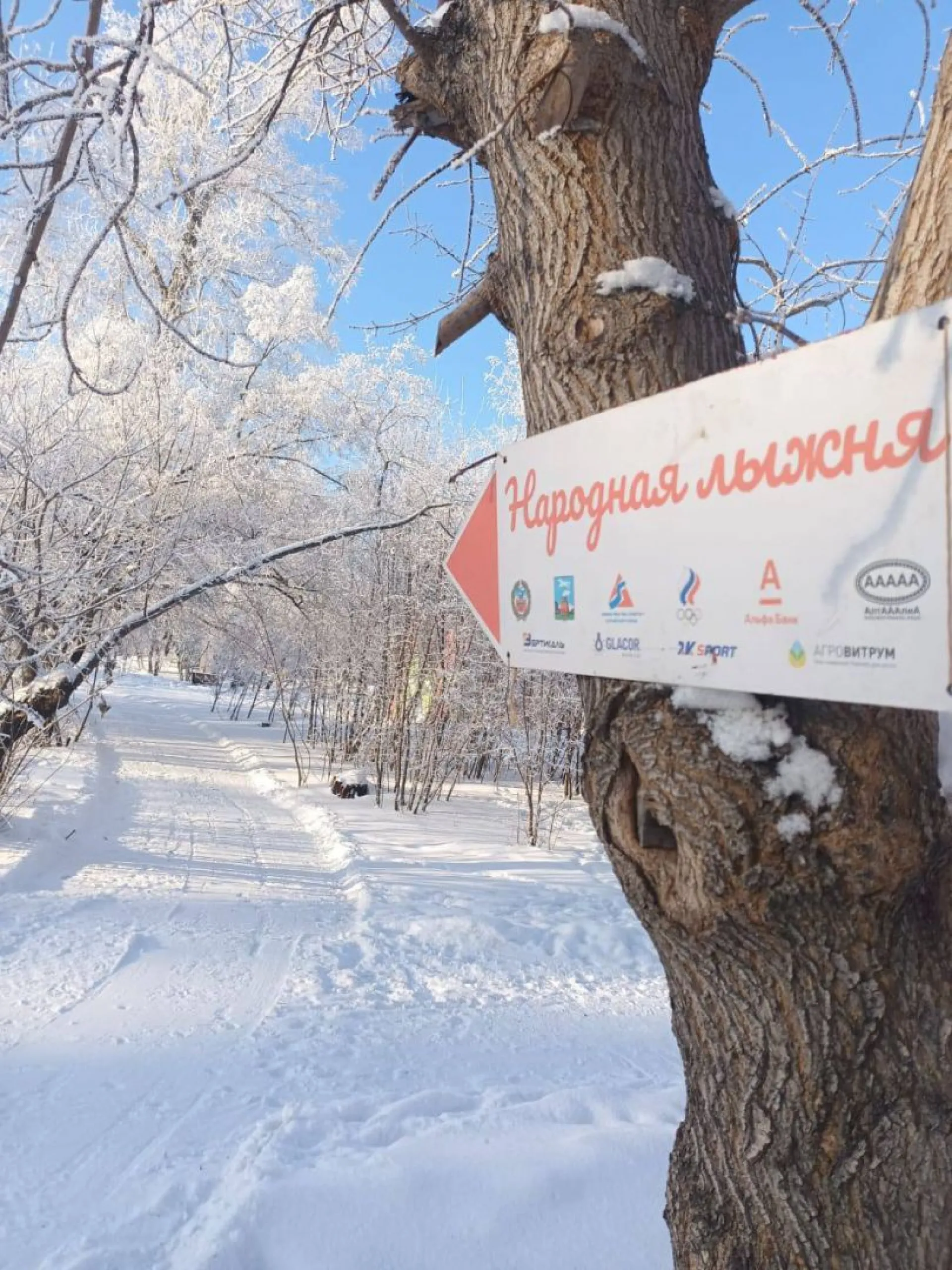 Лыжную трассу открыли в барнаульском парке Лыжную трассу открыли в барнаульском парке
