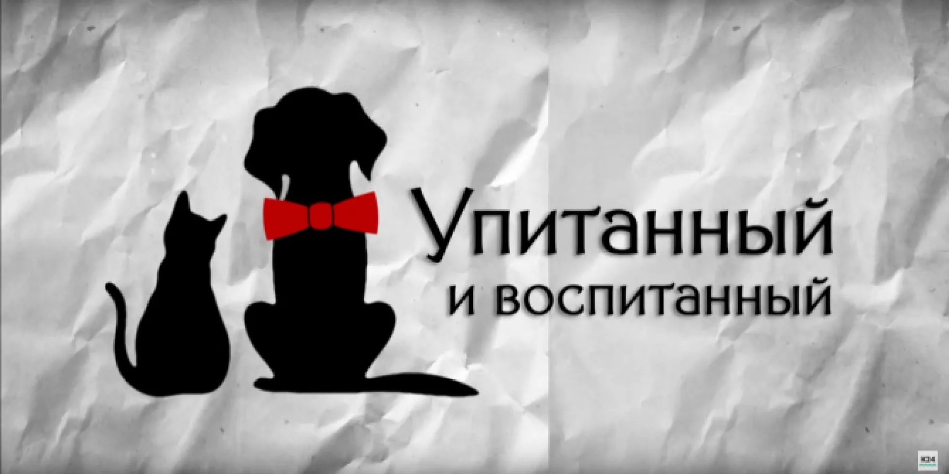 «Упитанный и воспитанный»: выпуск 1
