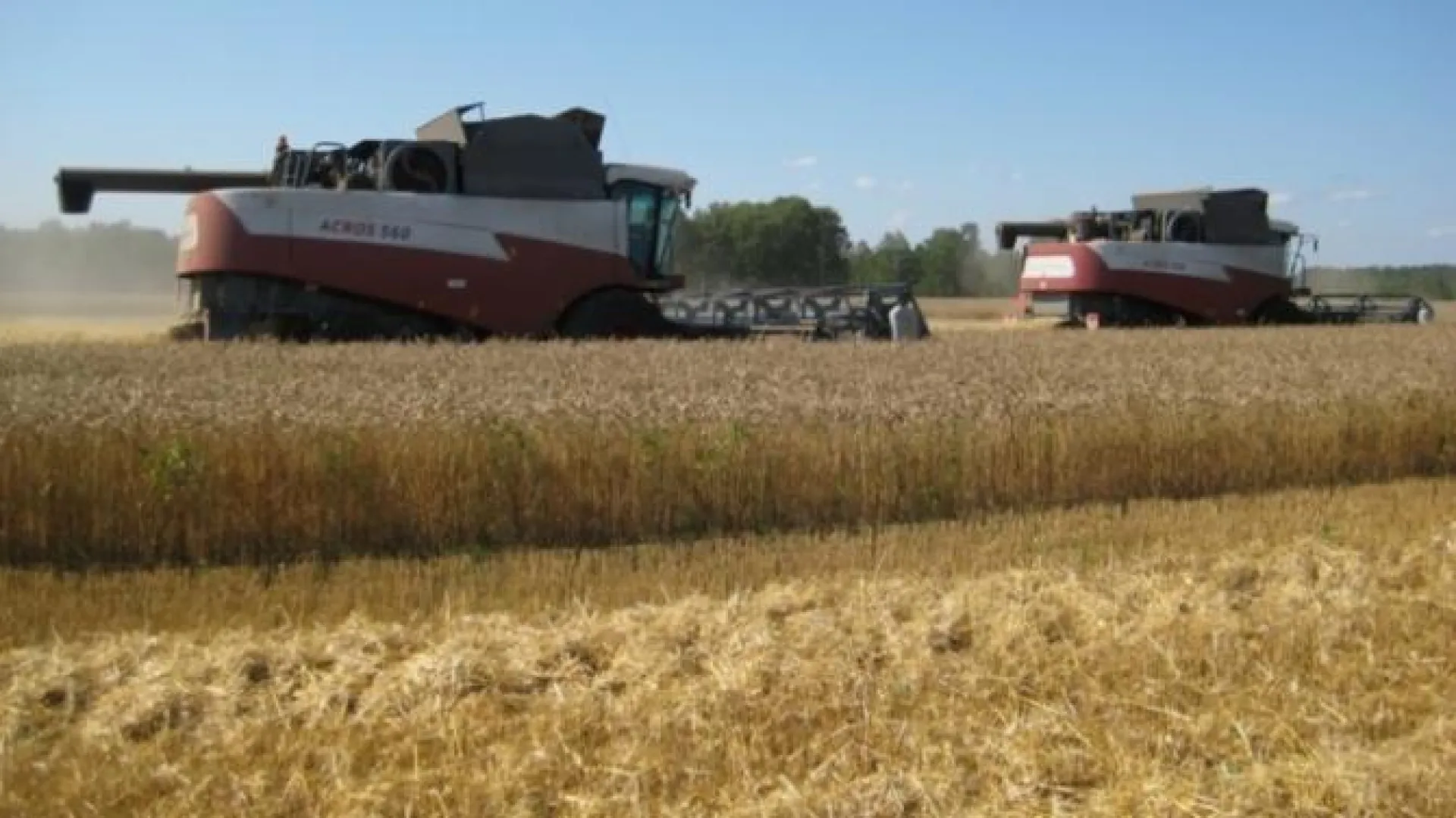 Второй транш погектарных субсидий направлен в Алтайский край