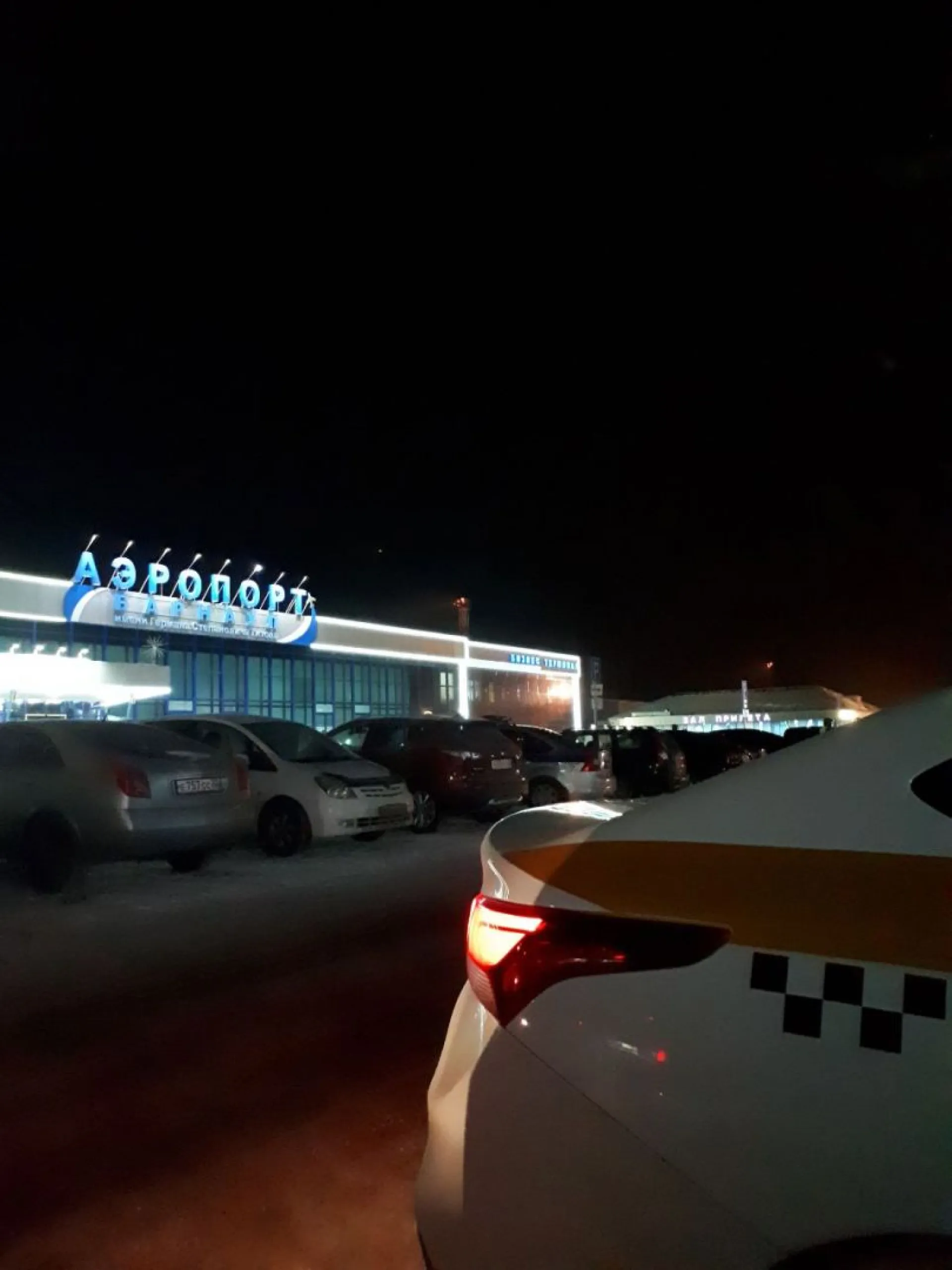 Пытавшемуся выйти из самолета дебоширу вынесли приговор в Барнауле