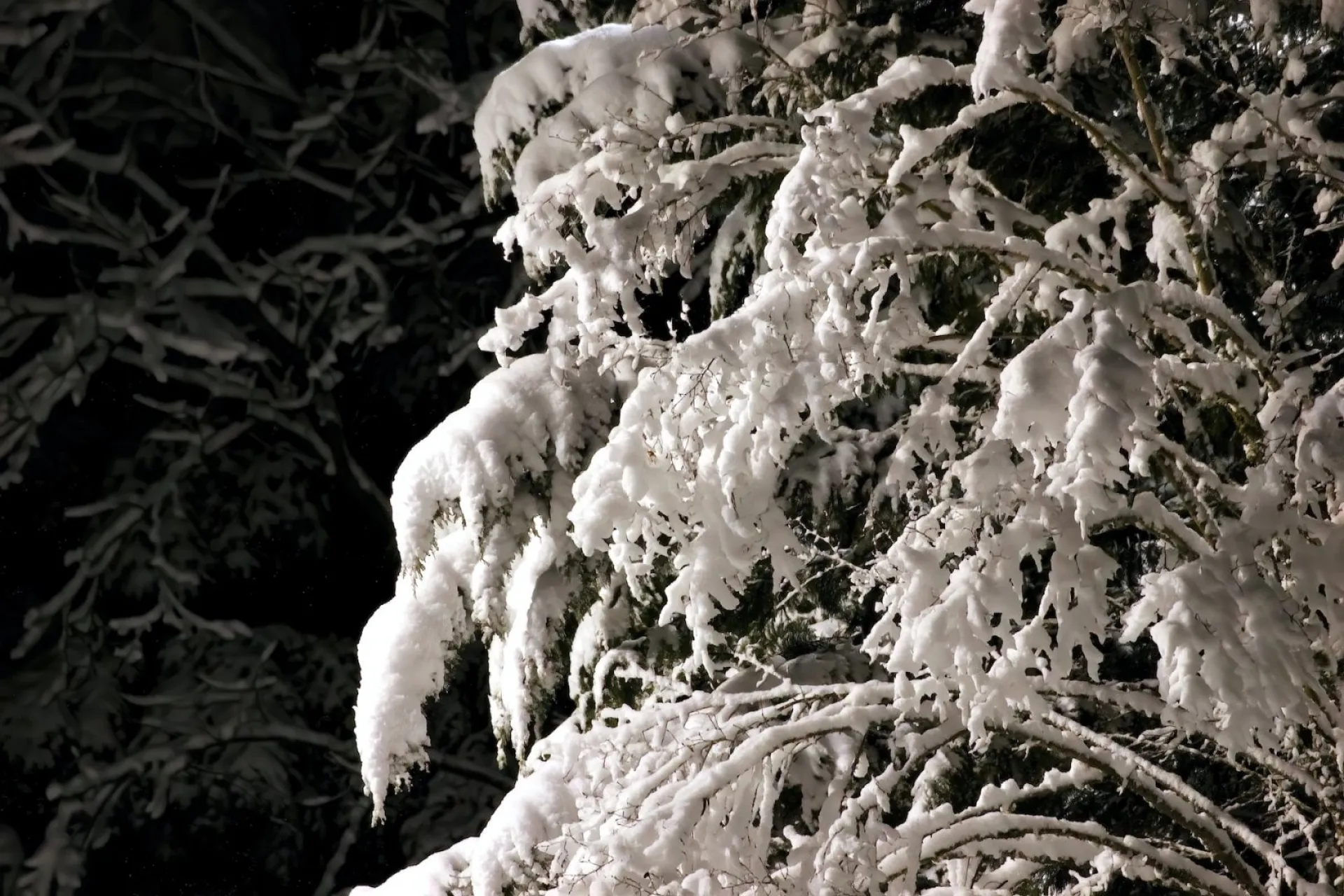 Лаптев день: традиции и приметы на 22 февраля Лаптев день: традиции и приметы на 22 февраля