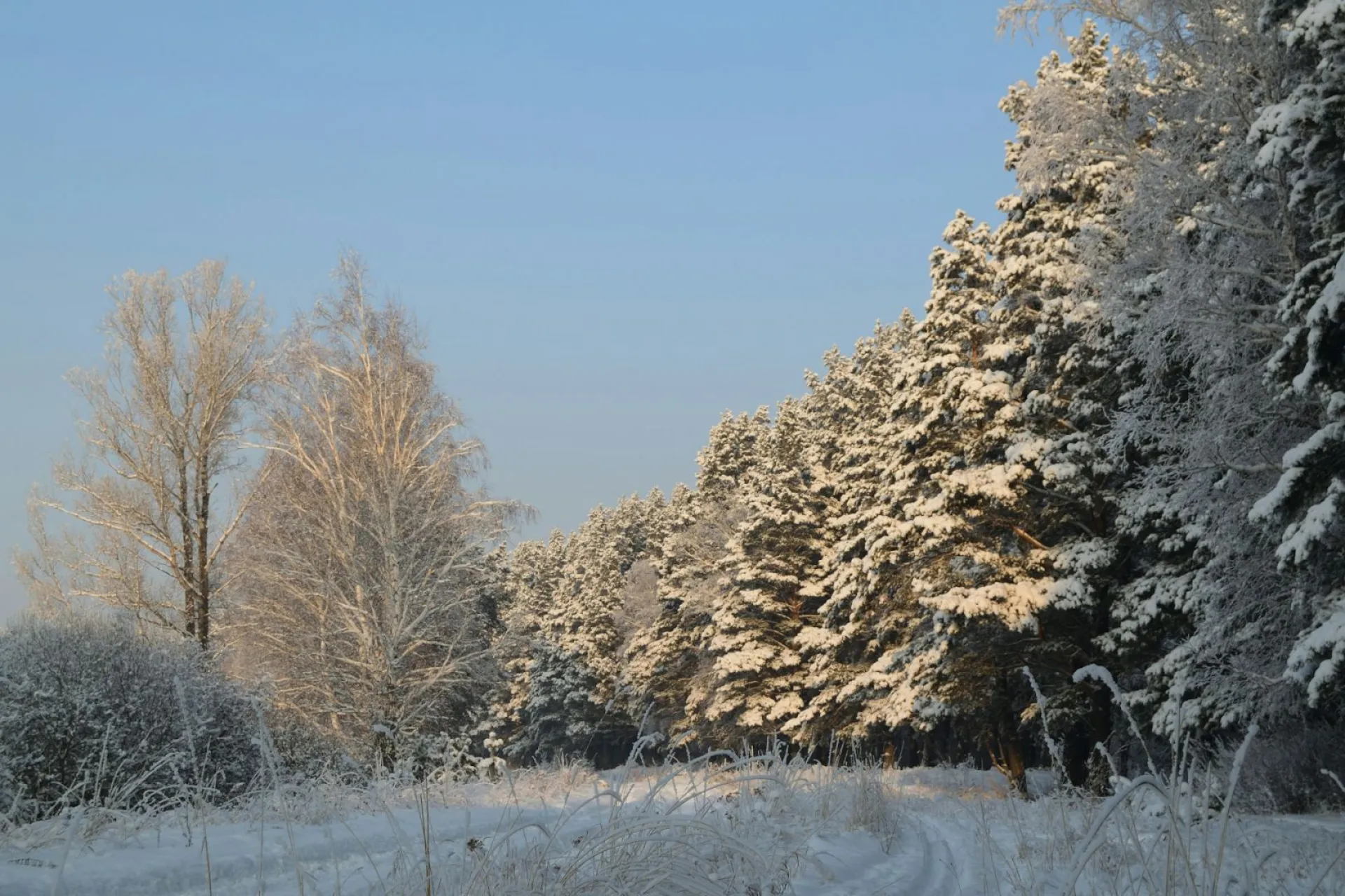Ермилов день: традиции и приметы на 26 января Ермилов день: традиции и приметы на 26 января