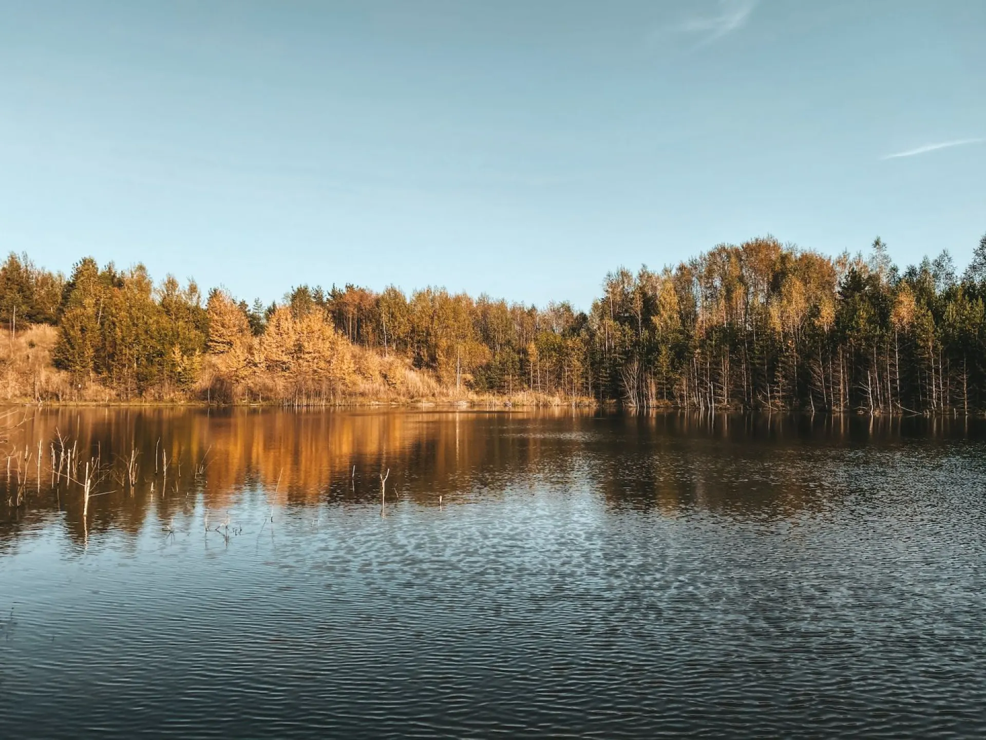 Преимущественно без осадков: о погоде в Алтайском крае 14 сентября Преимущественно без осадков: о погоде в Алтайском крае 14 сентября