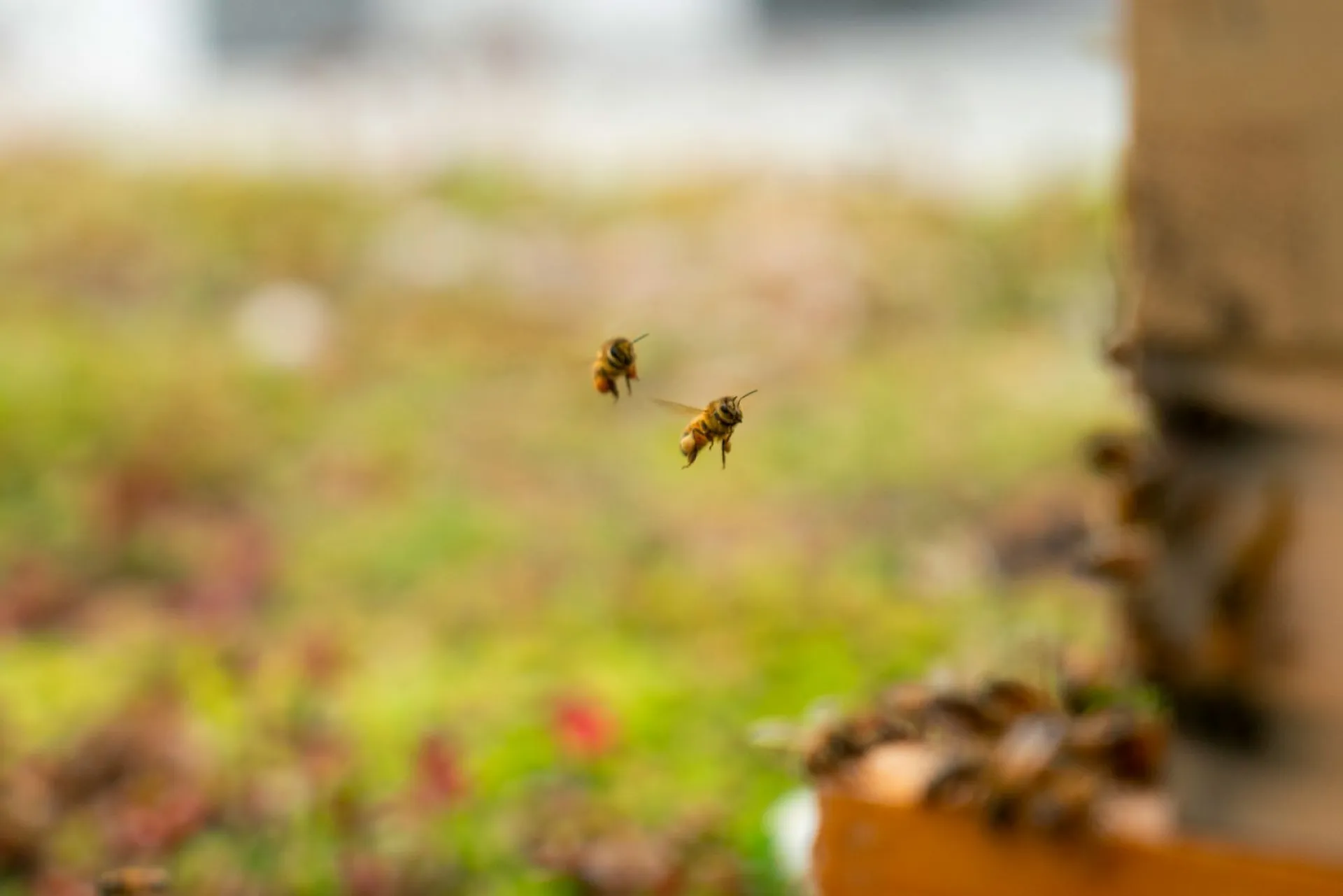 До +28: о погоде в Алтайском крае 20 июля