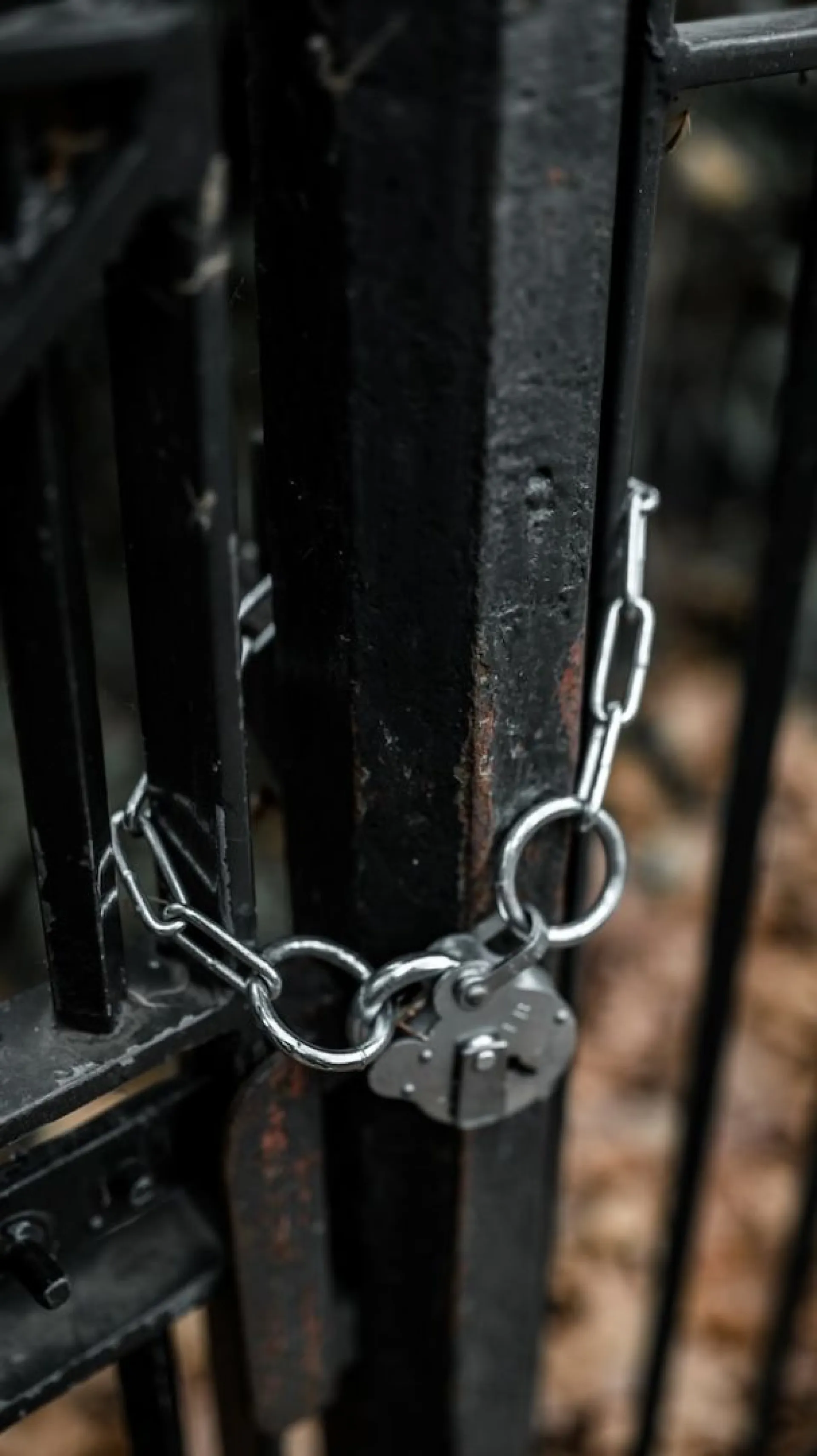 Задушившего бывшую жену барнаульца заключили под стражу