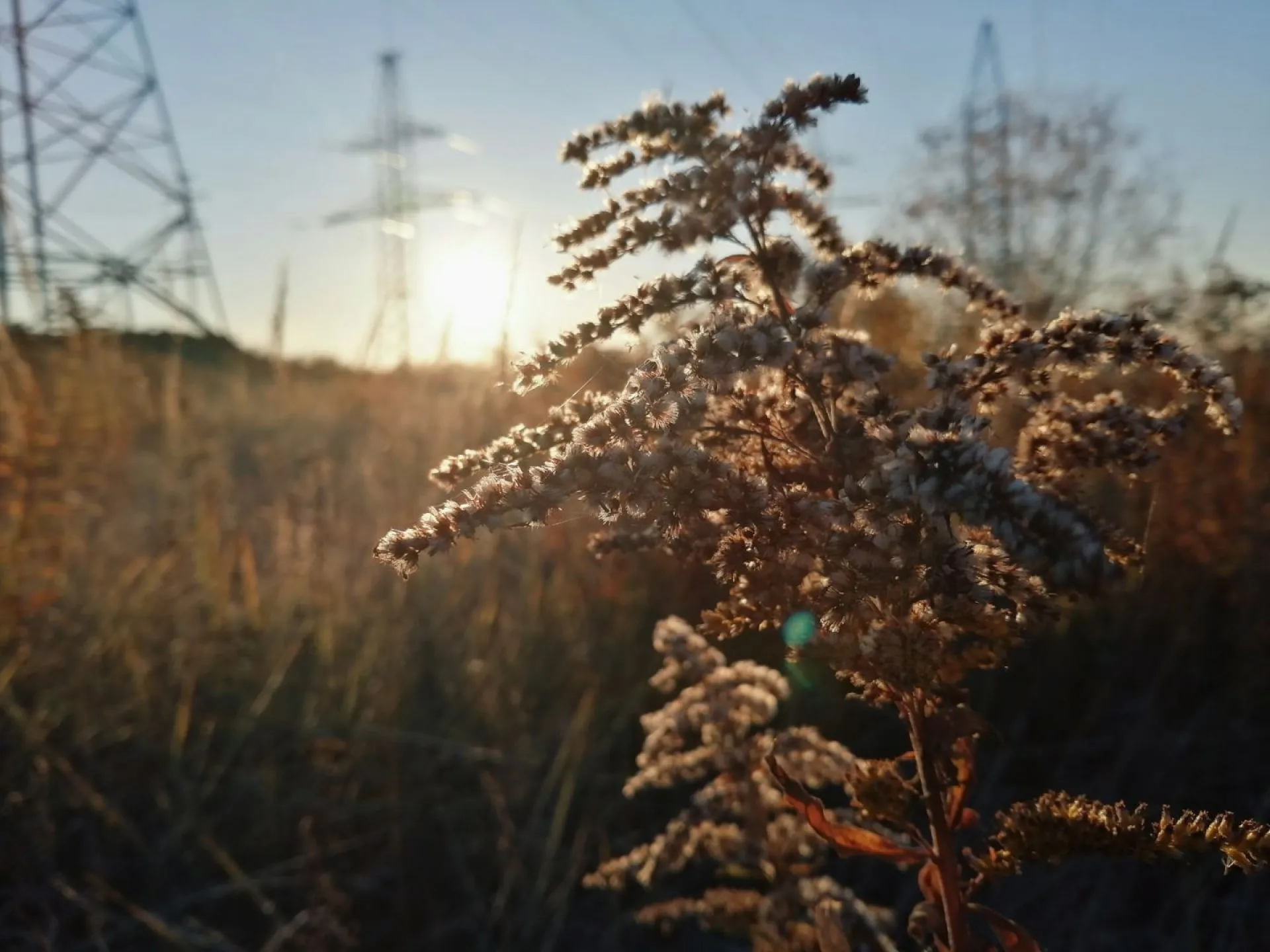 До +24: о погоде в Алтайском крае 23 сентября До +24: о погоде в Алтайском крае 23 сентября