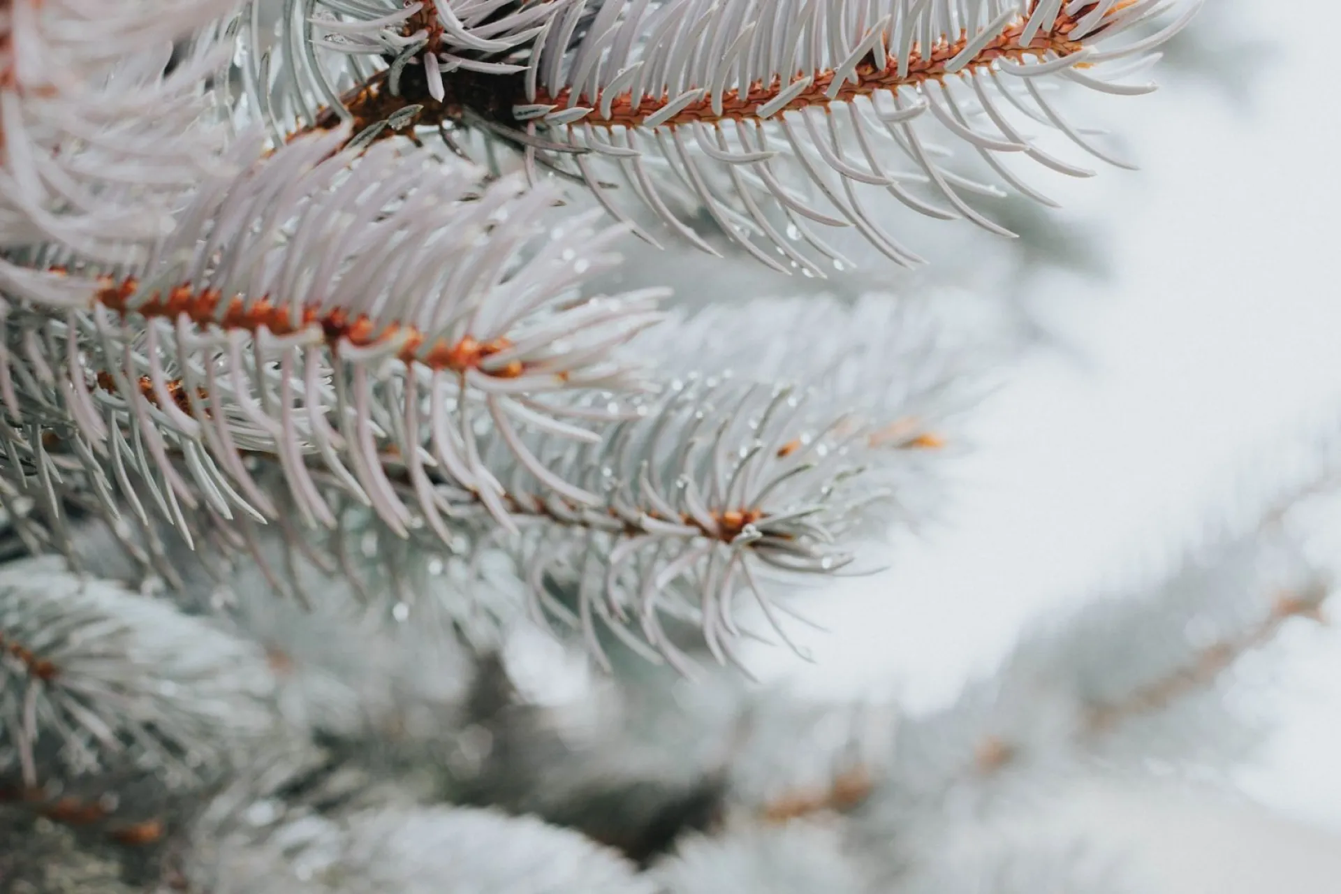 Мартианов день: традиции и приметы на 26 февраля Мартианов день: традиции и приметы на 26 февраля