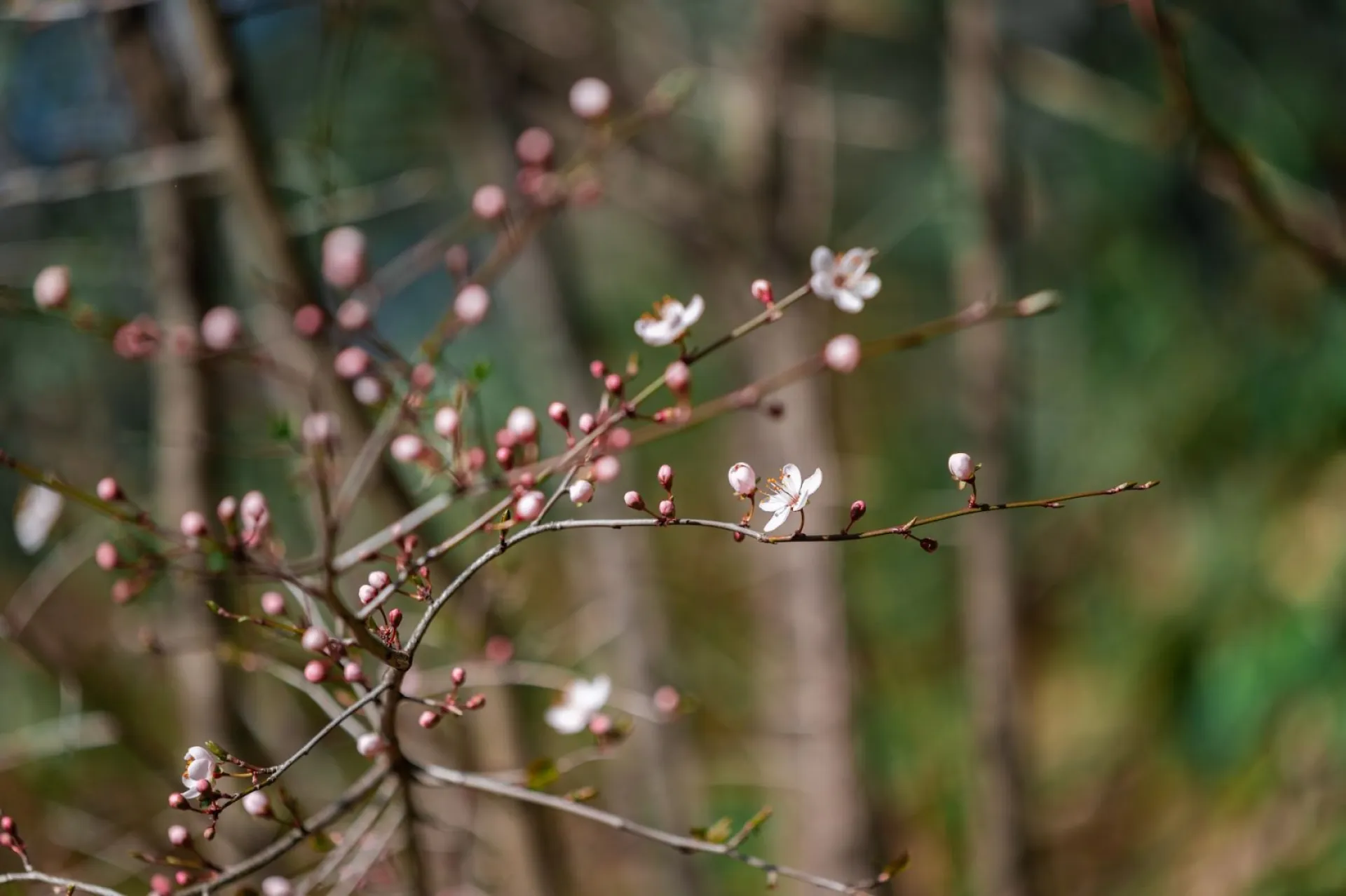 Проклов день: традиции и приметы на 4 мая Проклов день: традиции и приметы на 4 мая
