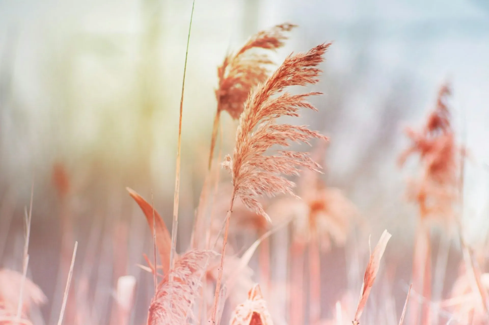 Венедиктов день: традиции и приметы на 27 марта