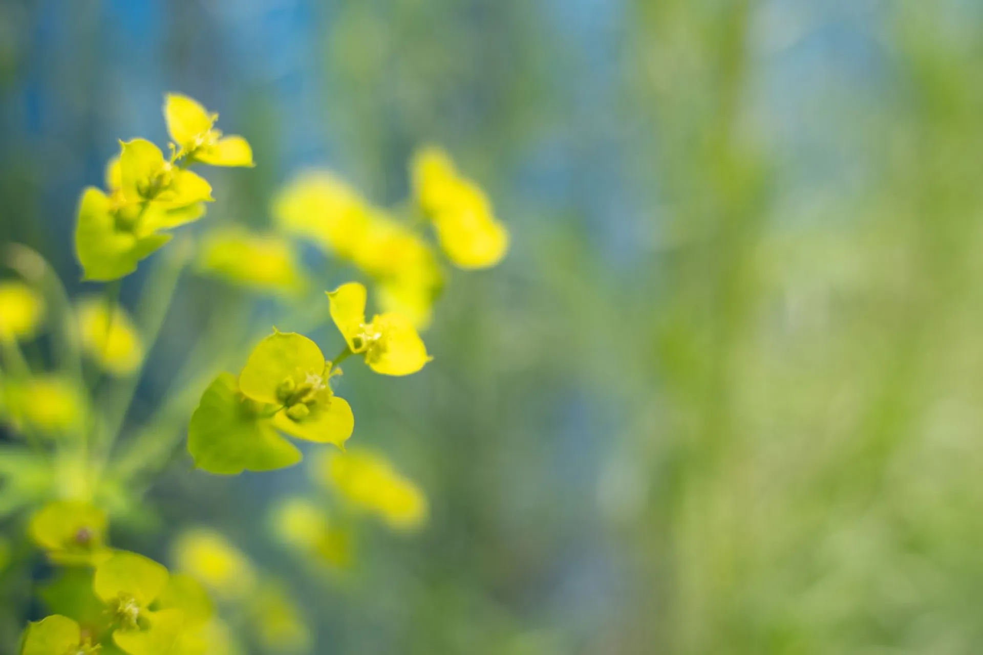 Маринин день: традиции и приметы на 30 июля Маринин день: традиции и приметы на 30 июля