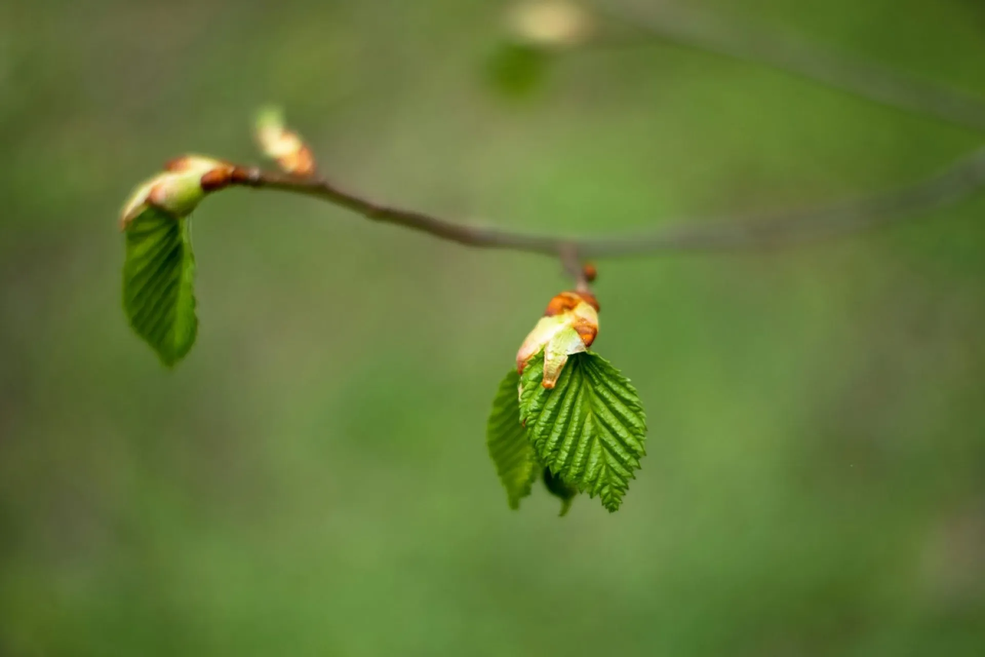 Антип-водогон: традиции и приметы на 24 апреля Антип-водогон: традиции и приметы на 24 апреля