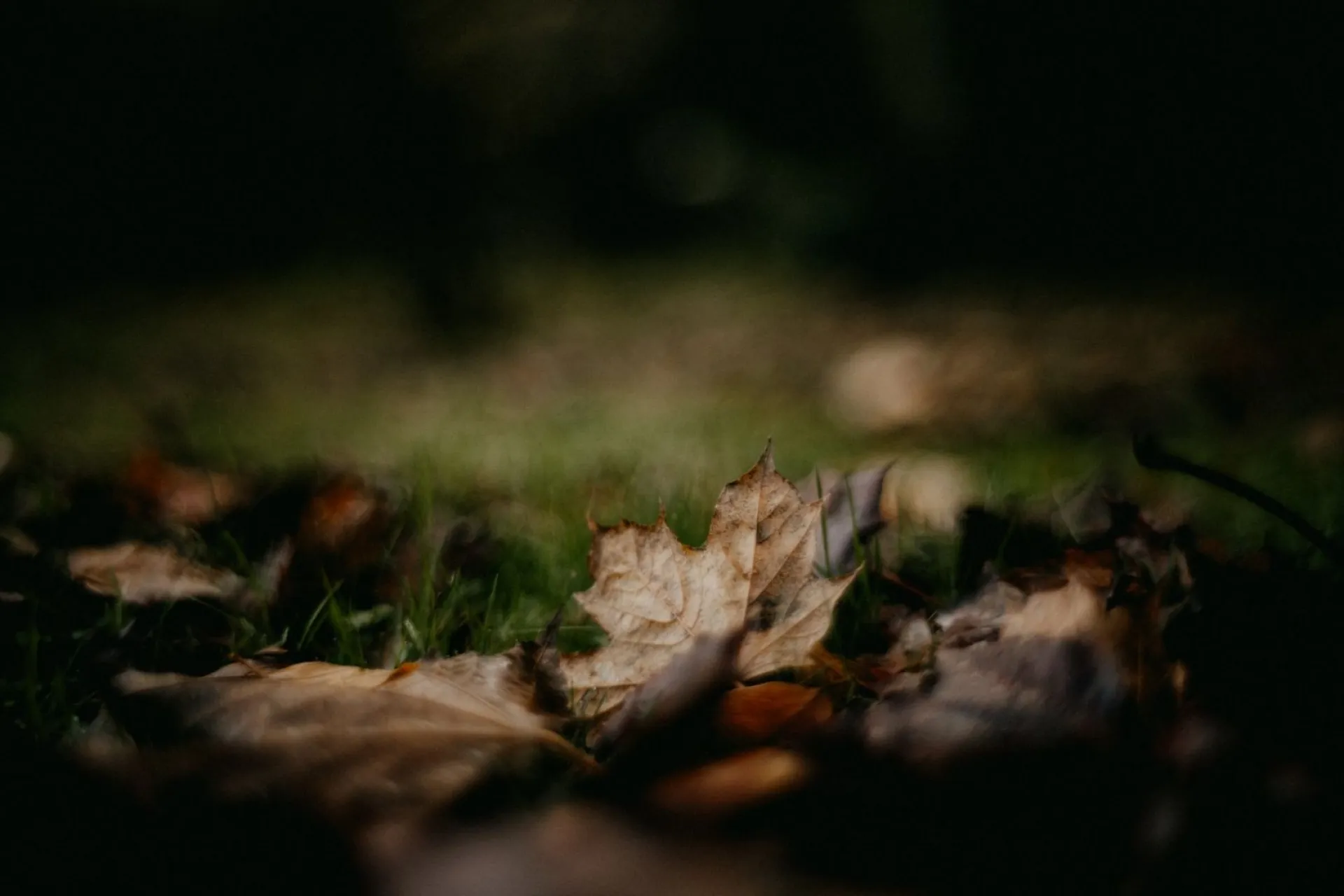 Покров Пресвятой Богородицы: традиции и приметы на 14 октября