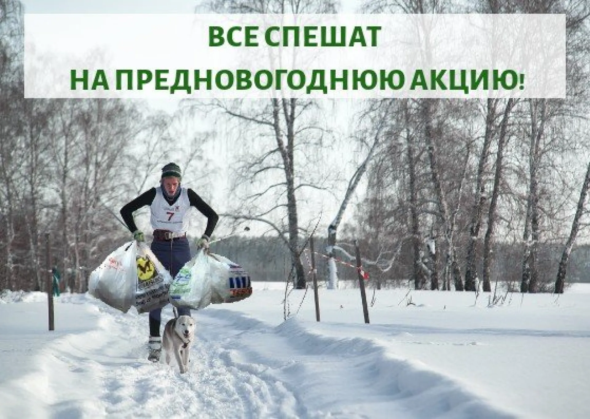 30 точек раздельного сбора мусора будут работать в Барнауле 21 декабря 30 точек раздельного сбора мусора будут работать в Барнауле 21 декабря