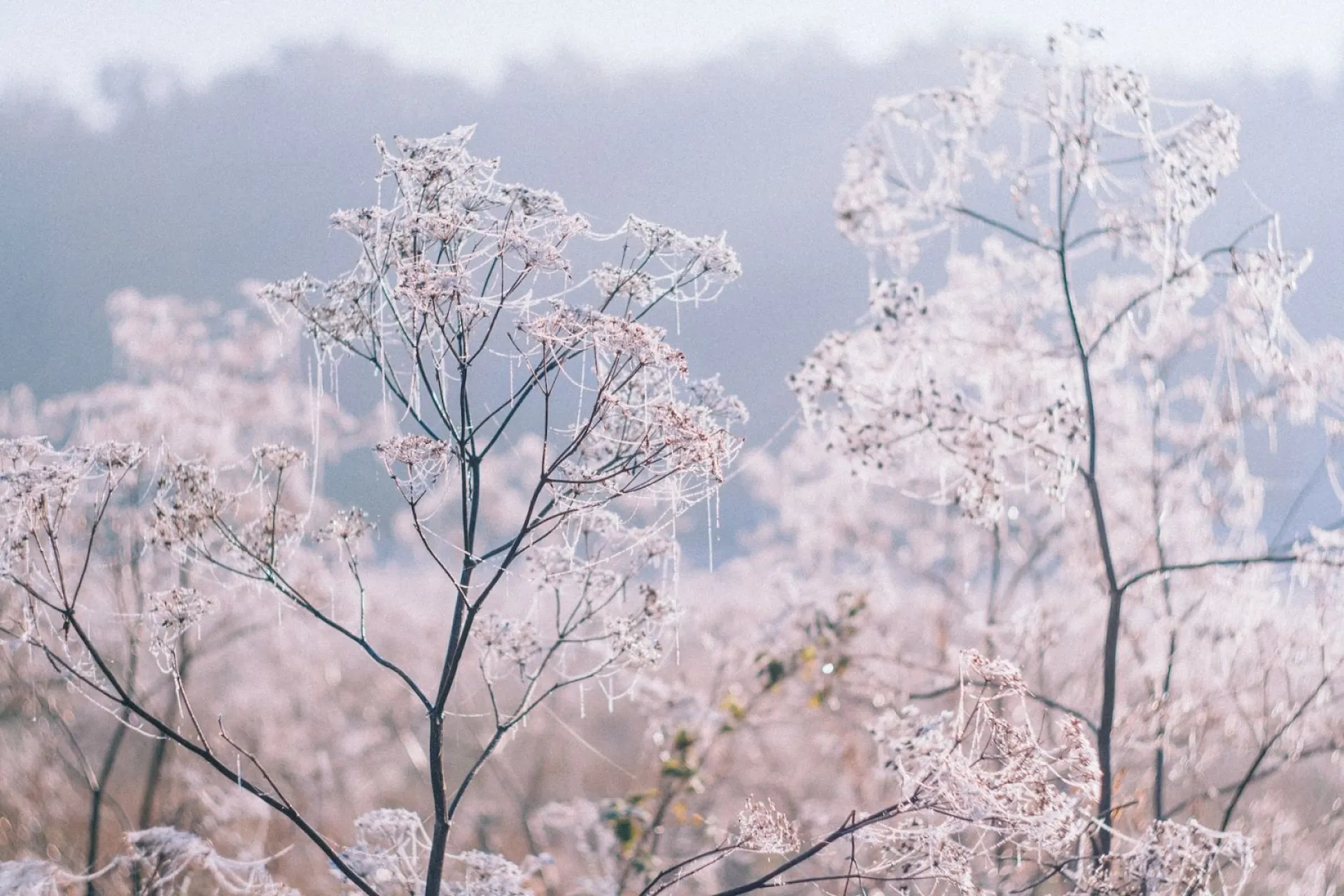 До -8: о погоде в Алтайском крае 18 ноября До -8: о погоде в Алтайском крае 18 ноября