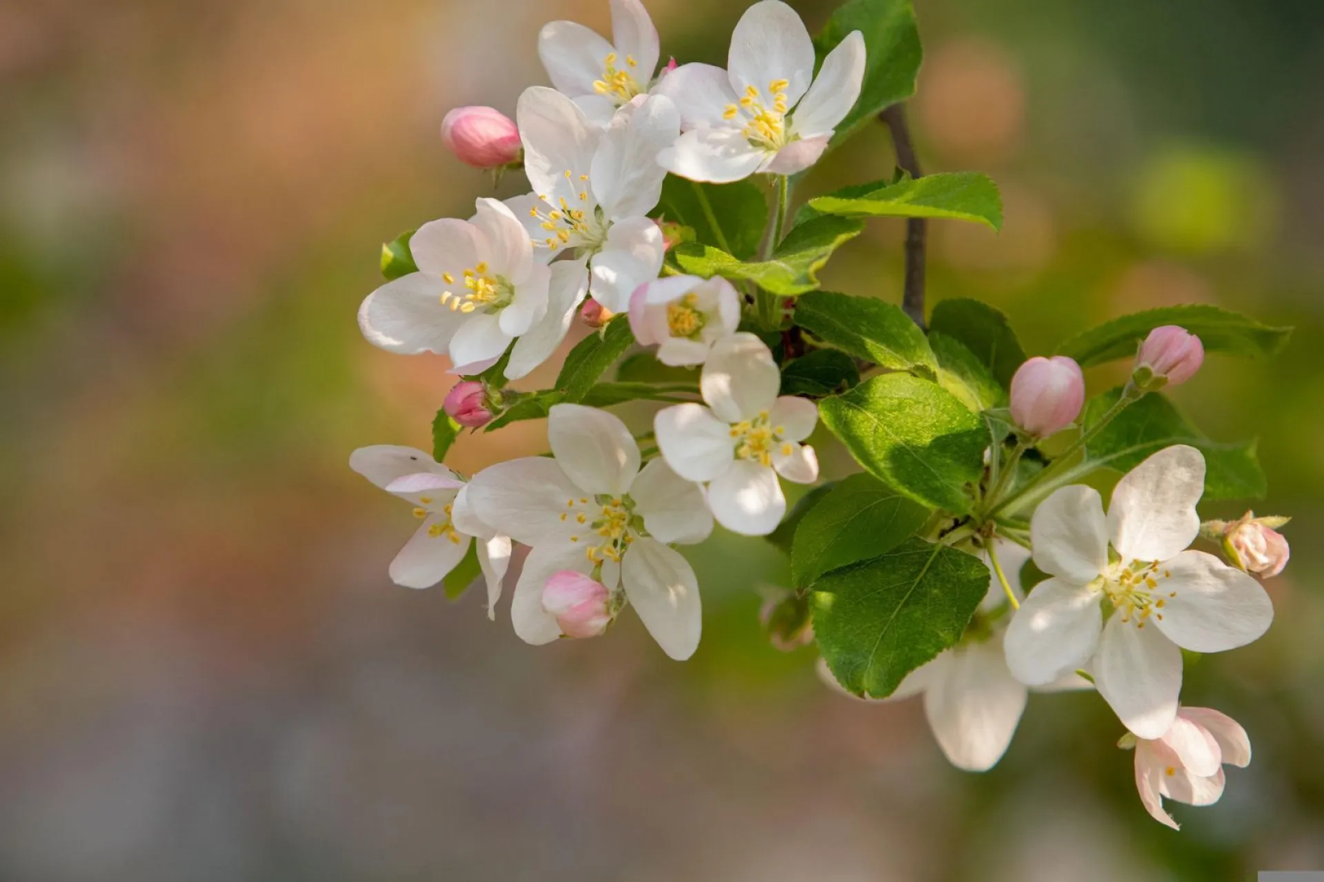 Семен Ранопашец: традиции и приметы на 10 мая Семен Ранопашец: традиции и приметы на 10 мая