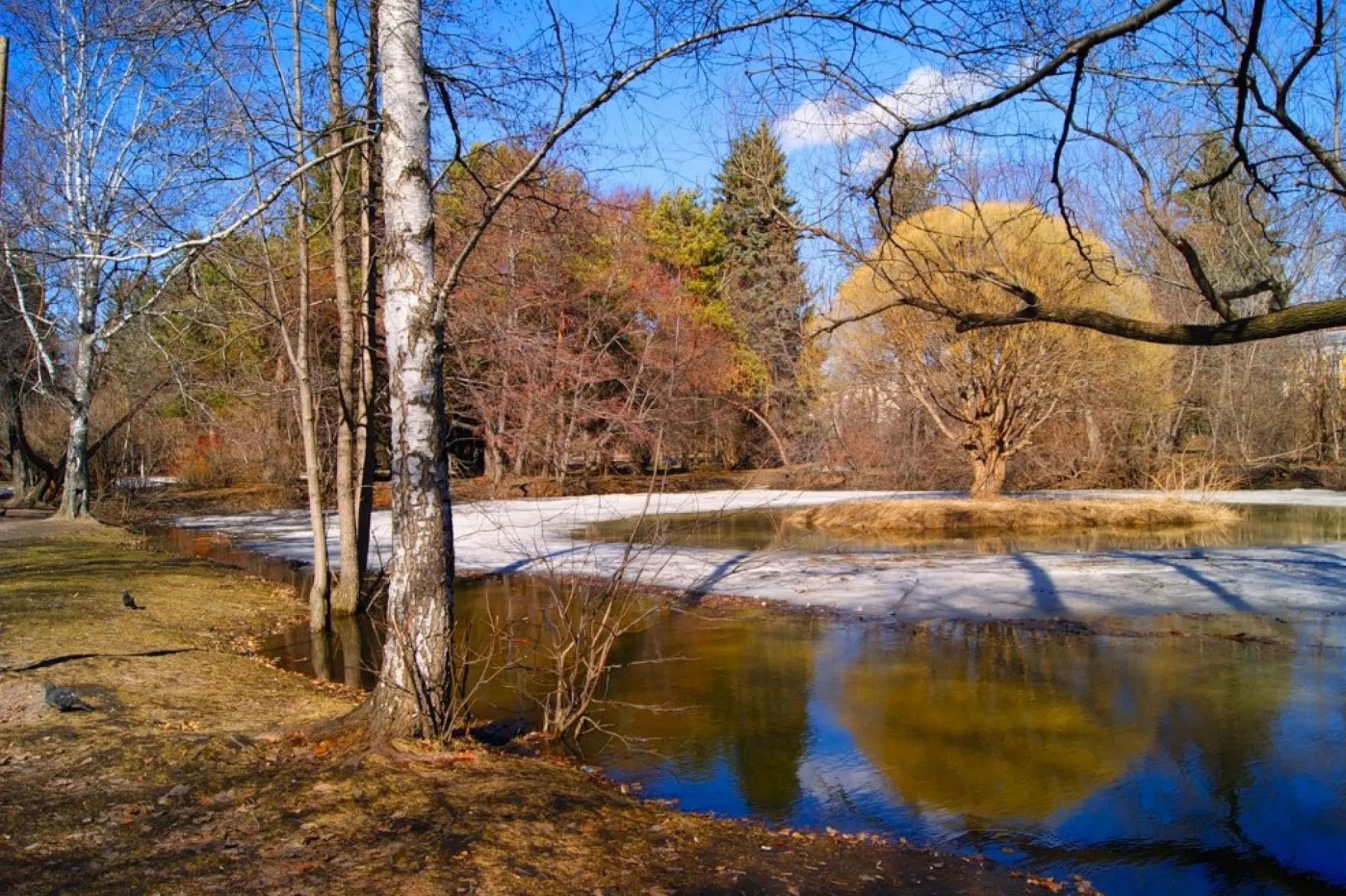 Дарья Пролубница: традиции и приметы на 1 апреля Дарья Пролубница: традиции и приметы на 1 апреля