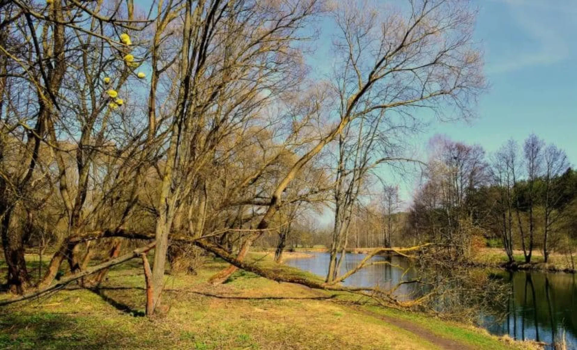 Иринин день: традиции и приметы на 29 апреля Иринин день: традиции и приметы на 29 апреля