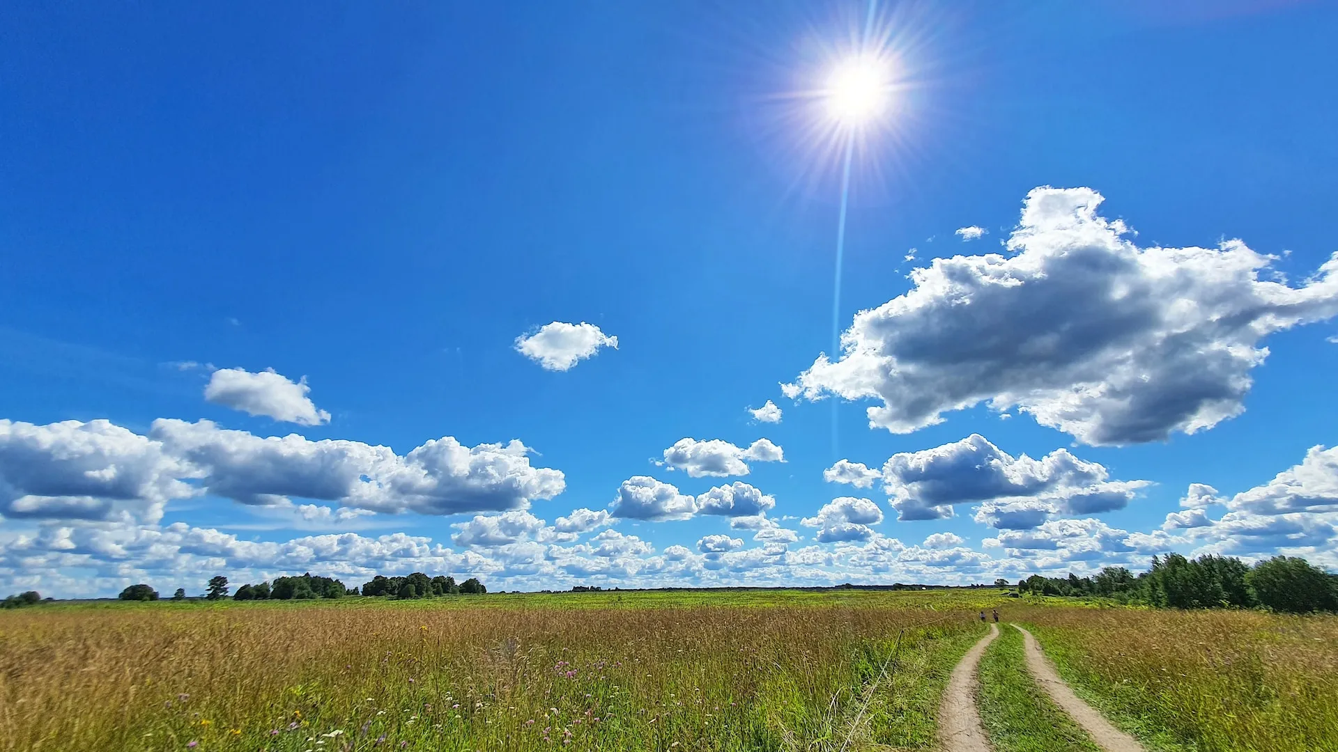 До +29: о погоде в Алтайском крае 9 августа До +29: о погоде в Алтайском крае 9 августа