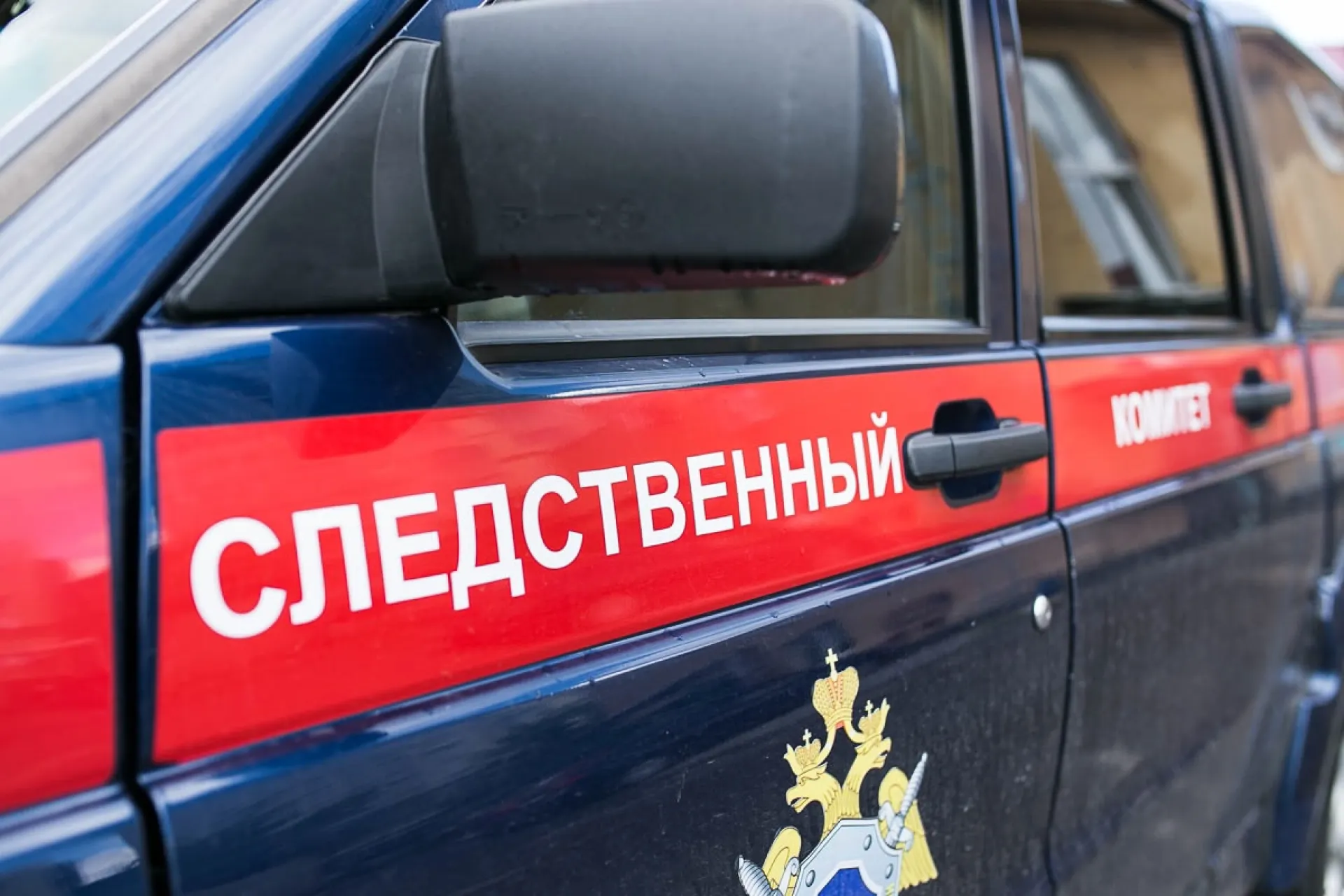 Алтайская предпринимательница предстанет перед судом за то, что наживалась на детях-сиротах