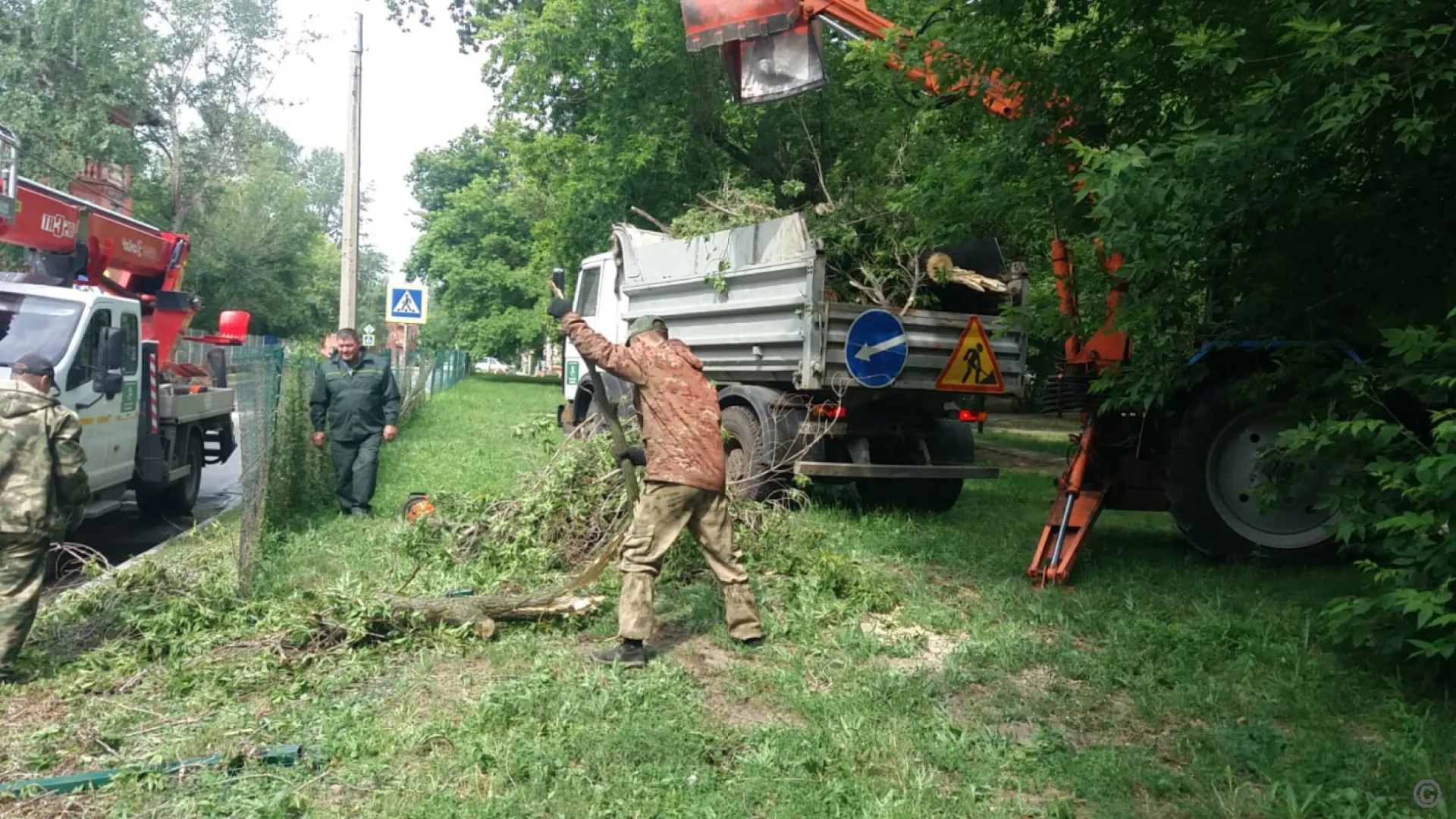 Три дерева упали на автомобили в Барнауле из-за сильного ветра