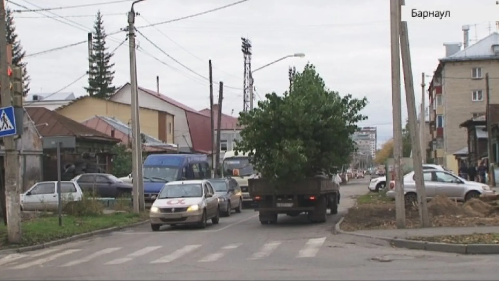 Почти две тысячи деревьев посадят в Барнауле. Выпуск от 21.09