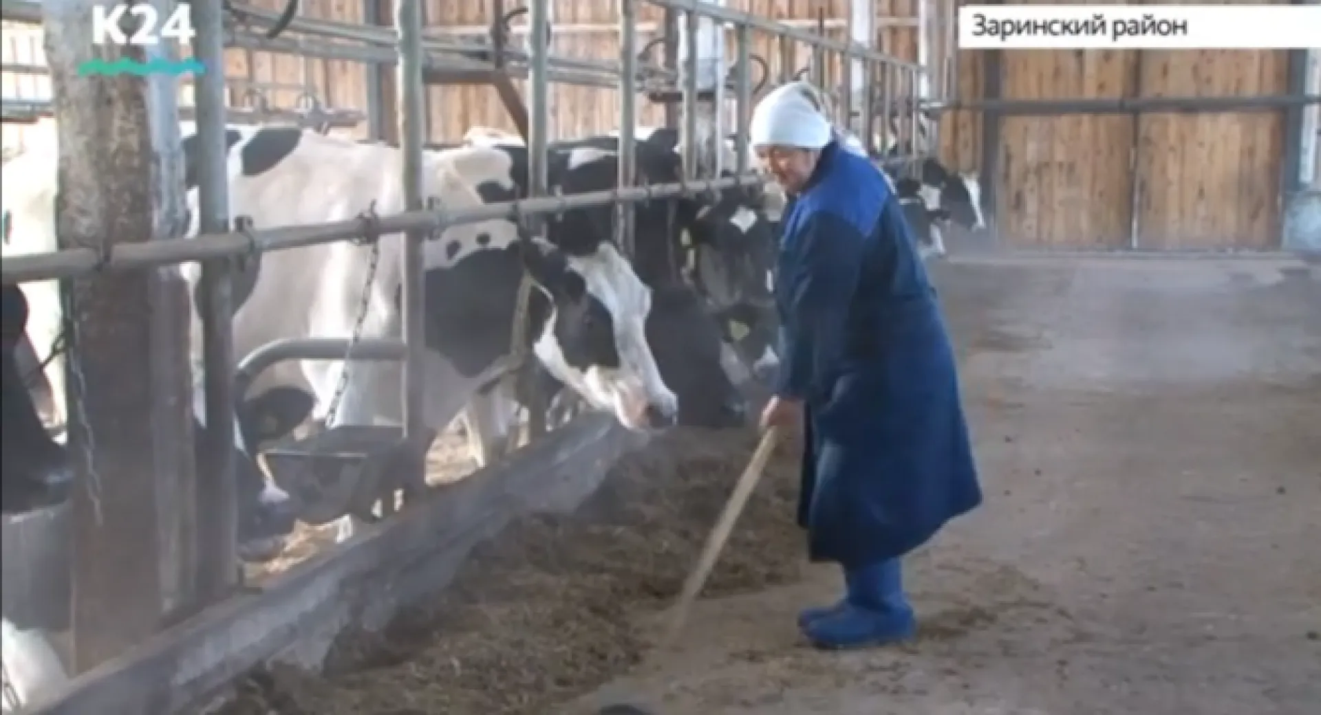 Лучших тружеников хозяйств региона наградили губернаторскими премиями Лучших тружеников хозяйств региона наградили губернаторскими премиями