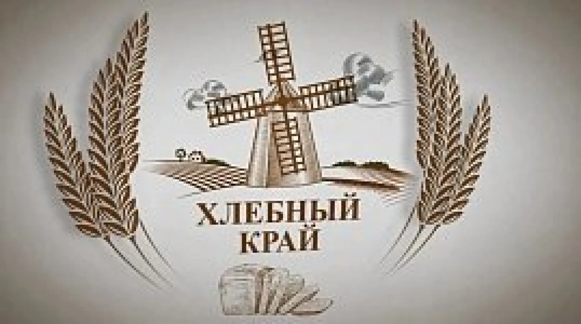 Хлебный край: об урожае твёрдой пшеницы на Алтае в 2018 году 