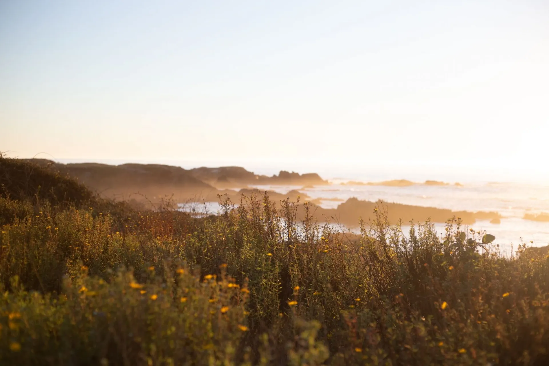 Карпов день: традиции и приметы на 8 июня