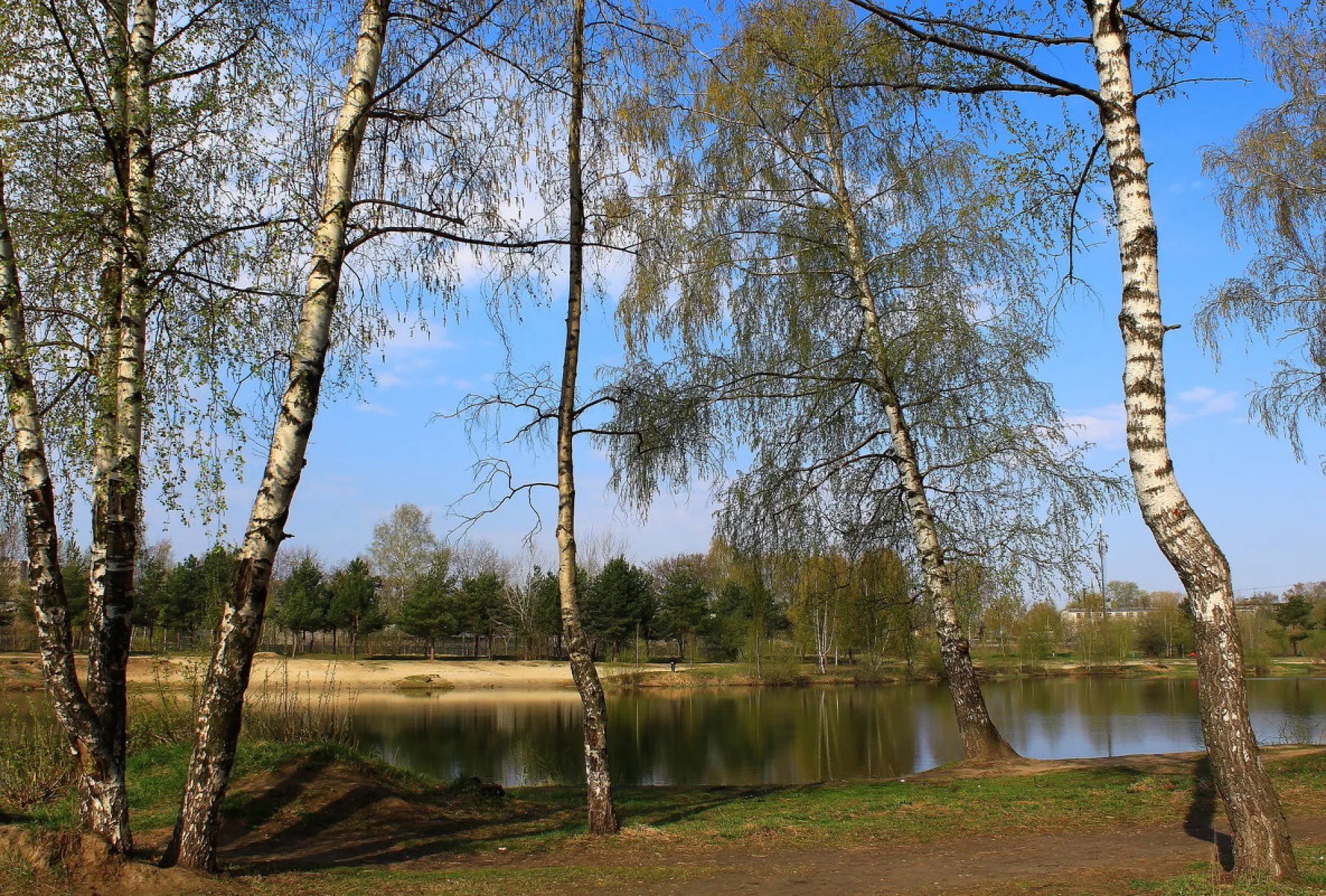 Марков день: традиции и приметы на 11 апреля Марков день: традиции и приметы на 11 апреля