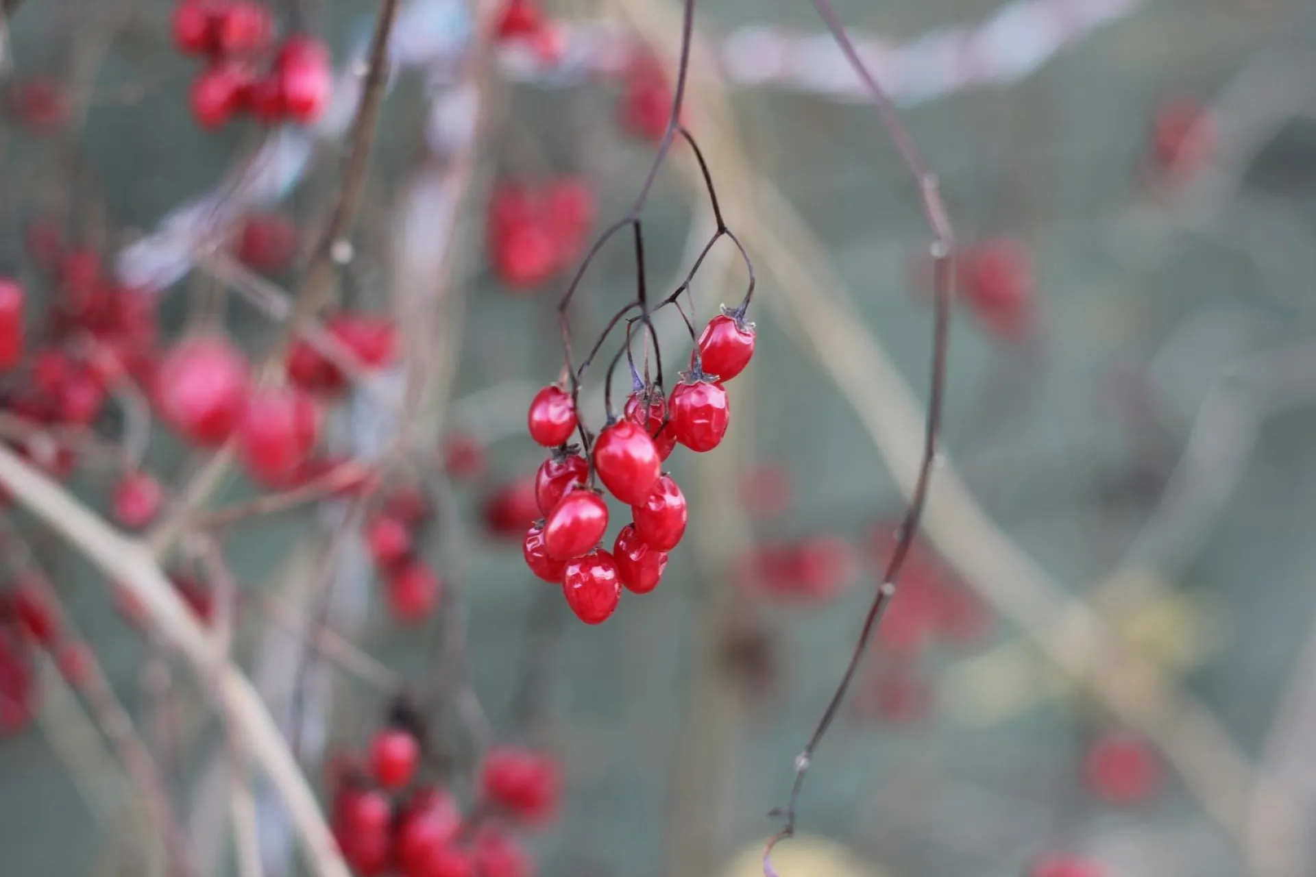 До +3: о погоде в Алтайском крае 25 марта