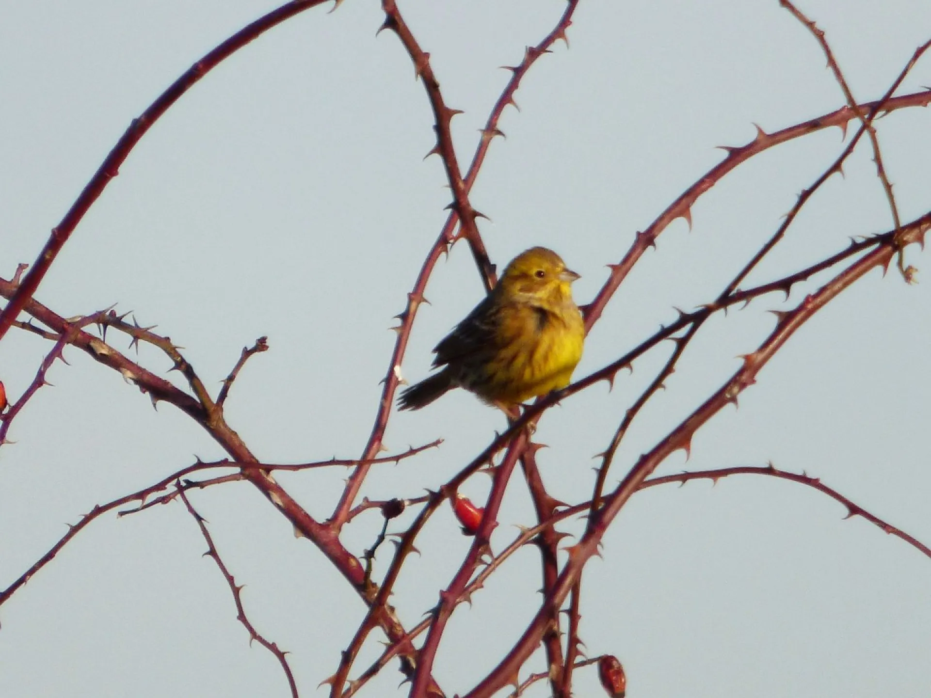 Без осадков: о погоде в Алтайском крае 31 марта