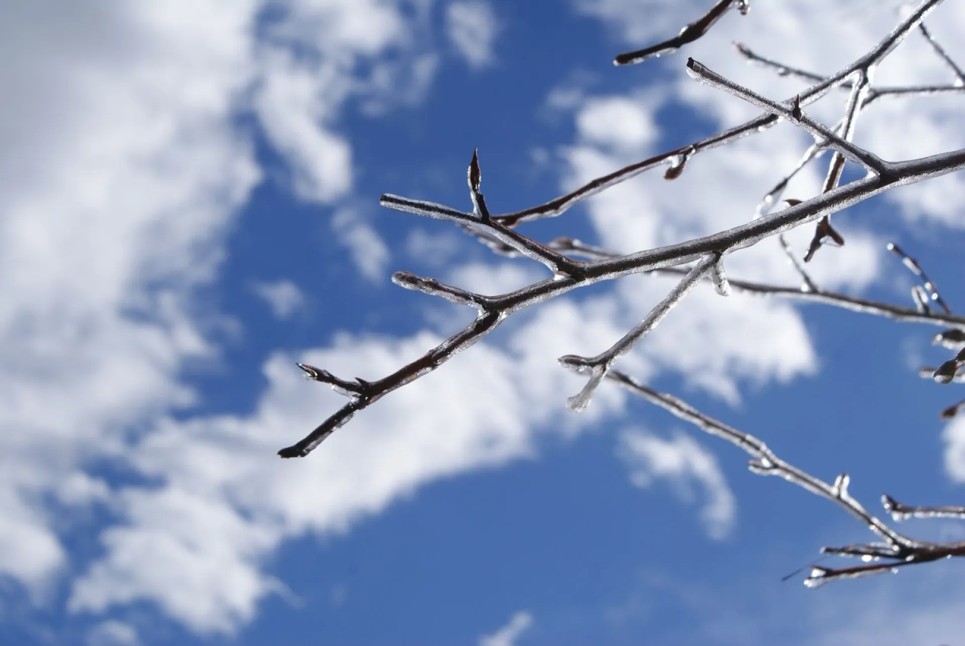 Антип Зубник: традиции и приметы на 24 марта Антип Зубник: традиции и приметы на 24 марта